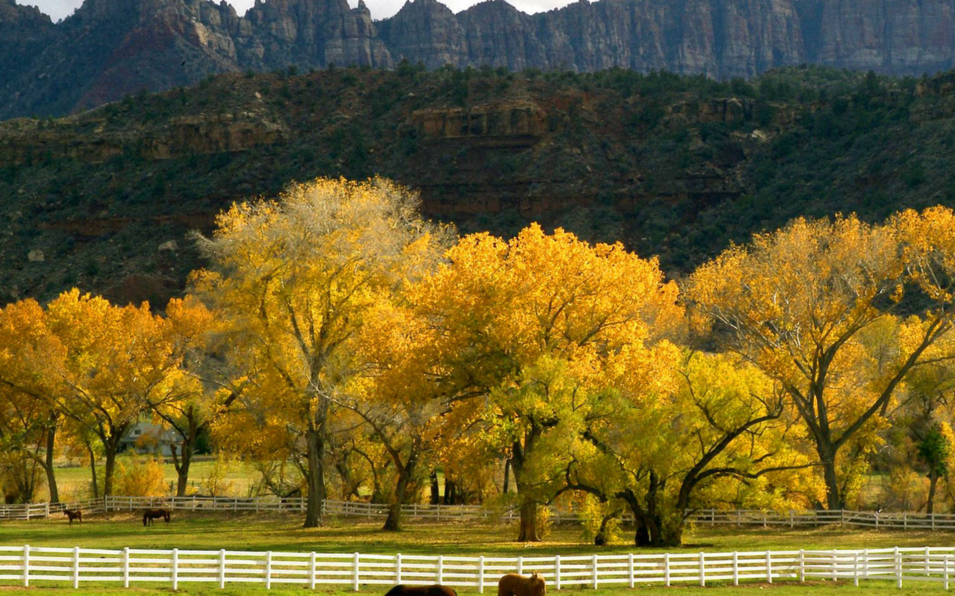 Осень и лошади горы