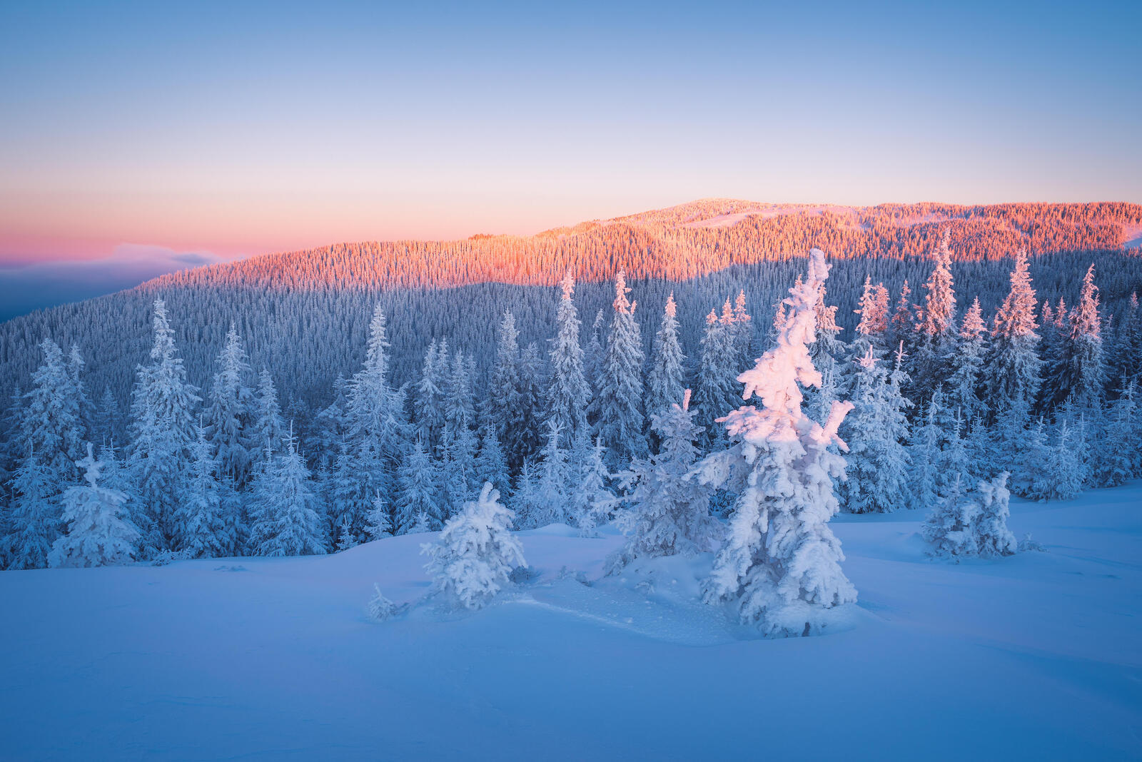 Wallpapers large drifts snowdrifts landscapes on the desktop