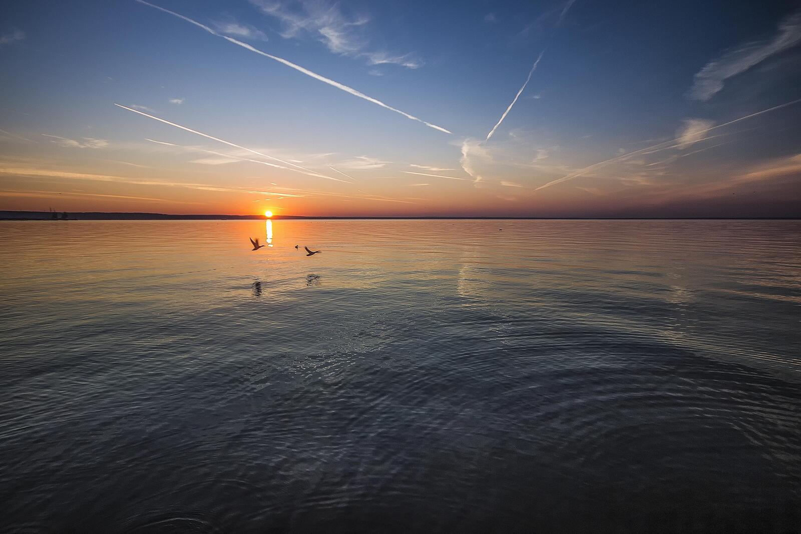 Free photo Download sea, sunset pictures free