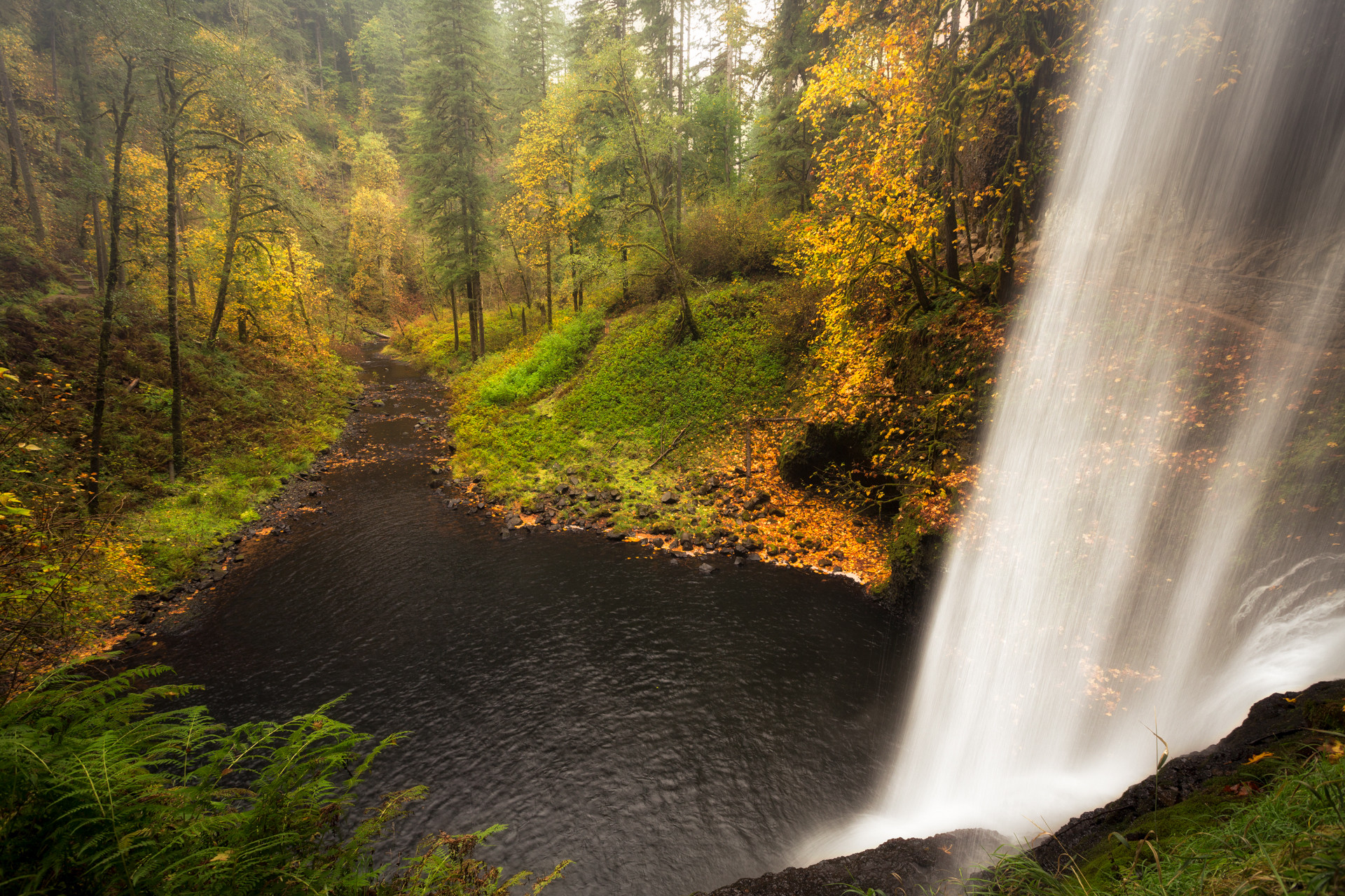 Photo free trees, landscape, waterfall in the forest