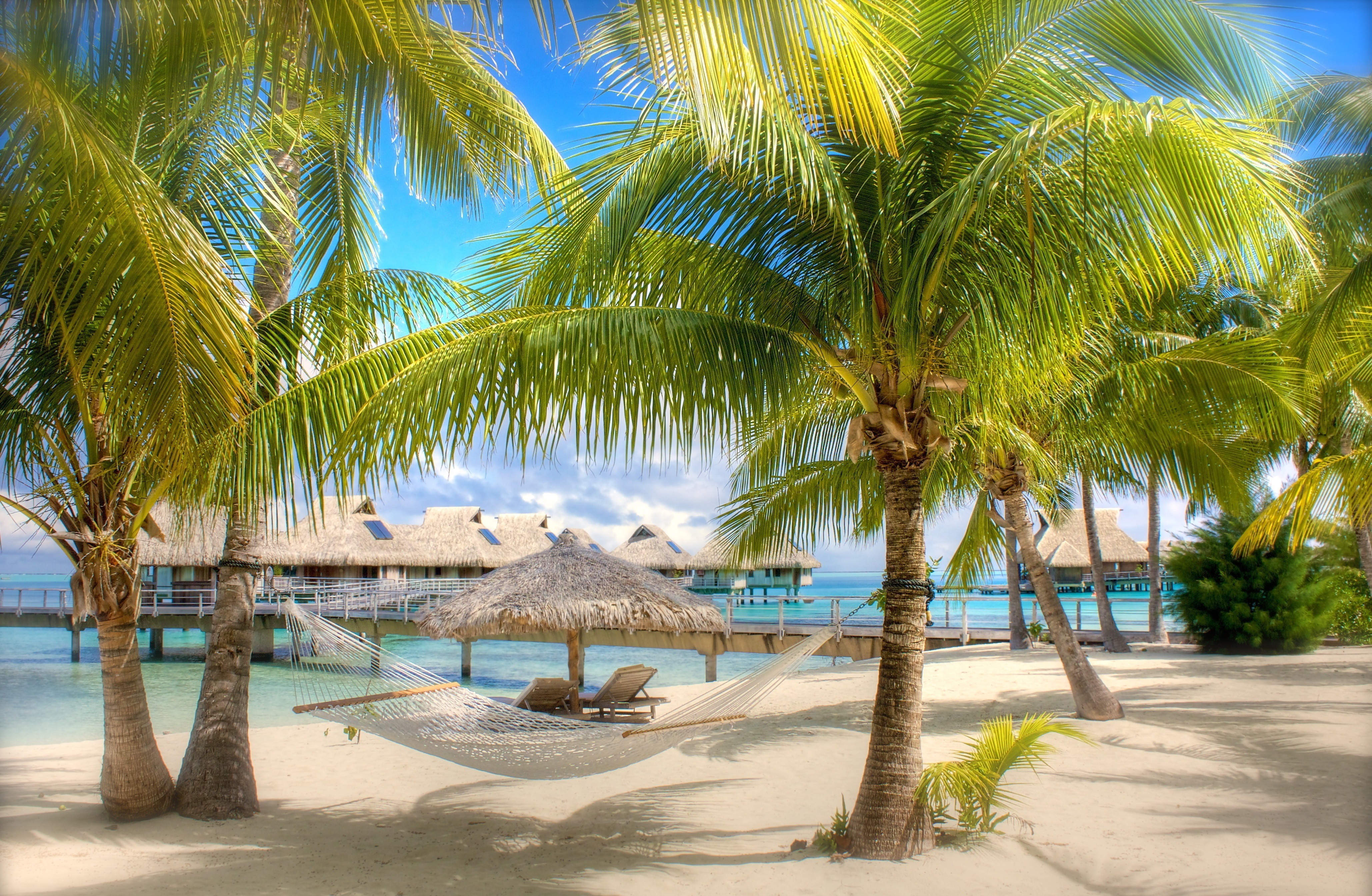 Фото бесплатно пальмы и пляж, отдых, природа