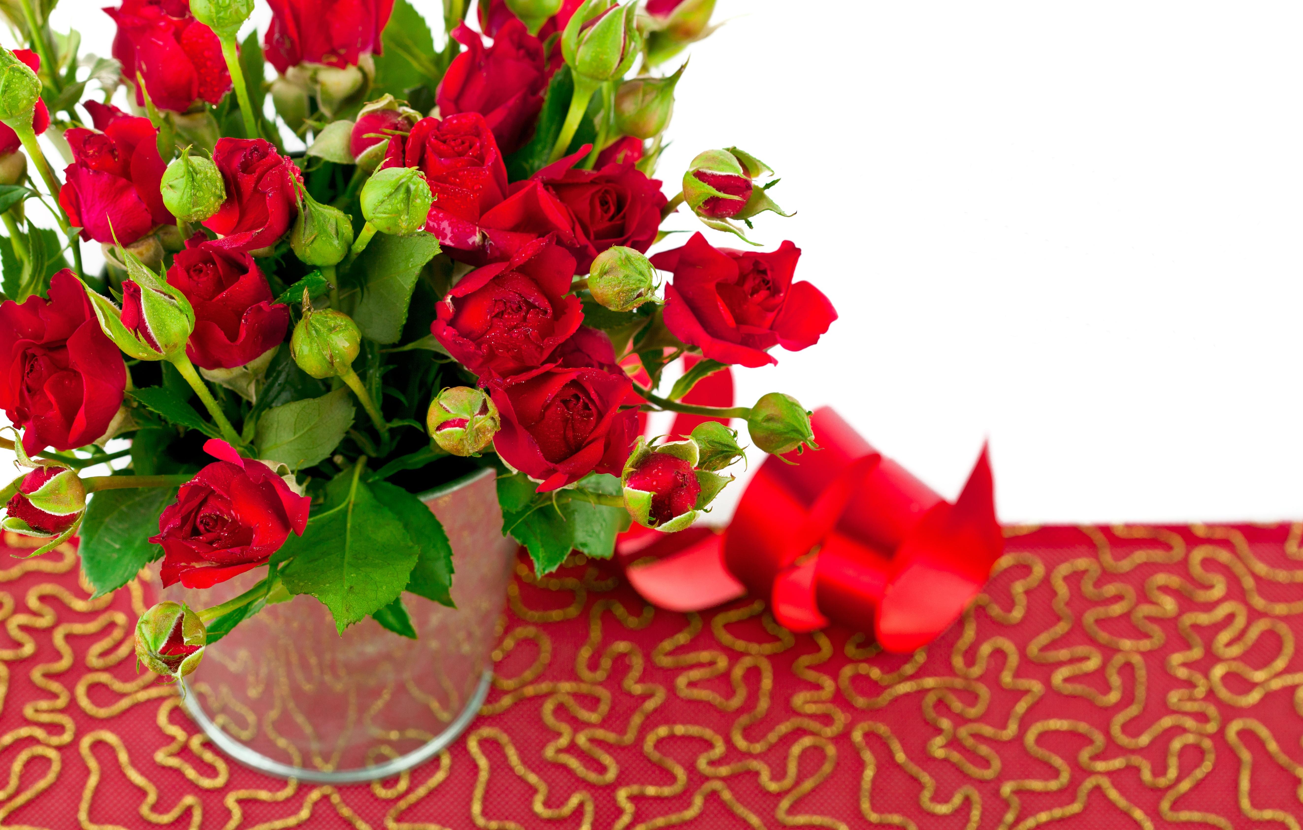 Бесплатное фото Картинка цветок, розы на телефон