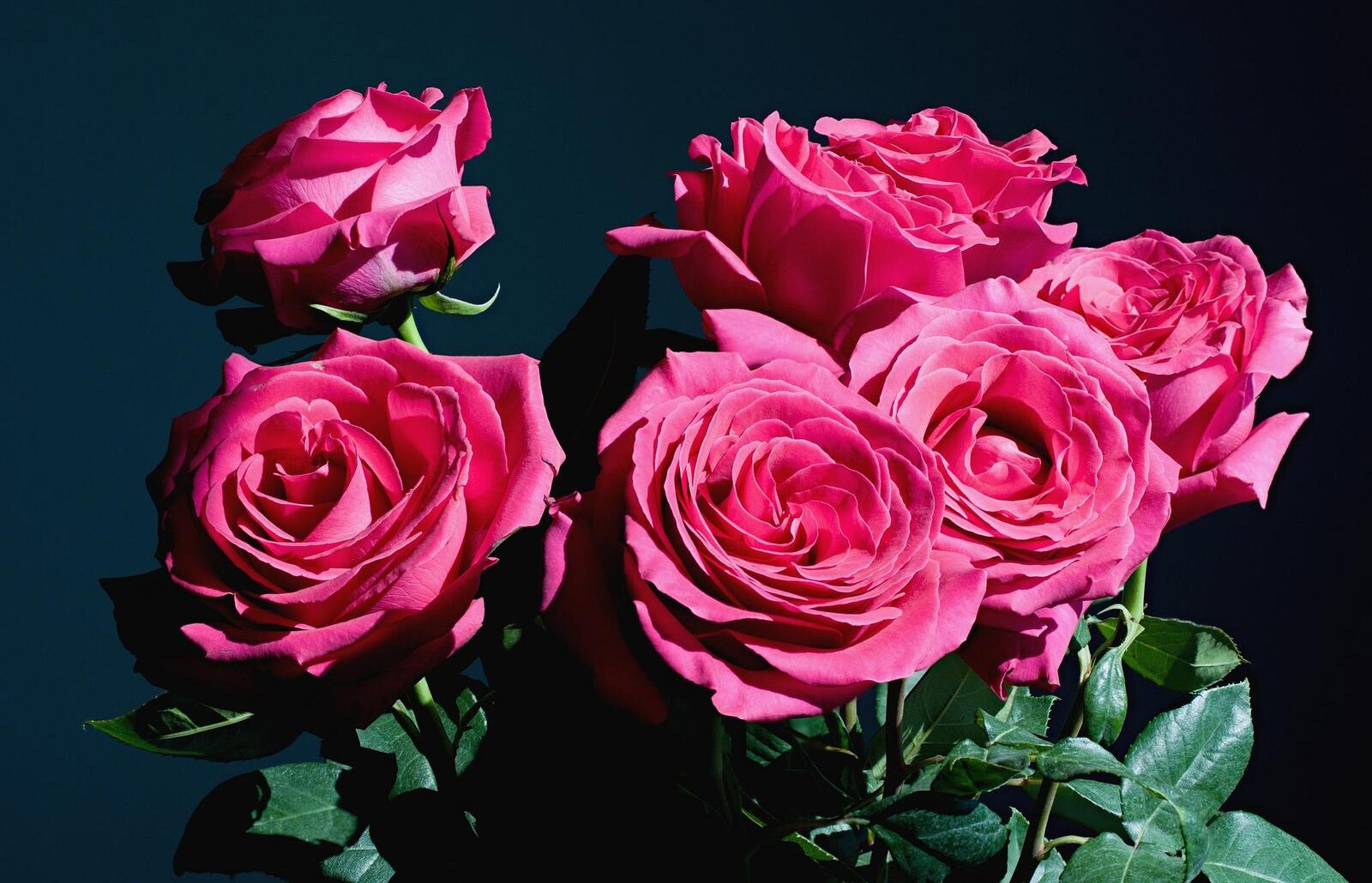 Бесплатное фото Заставка букет, розы