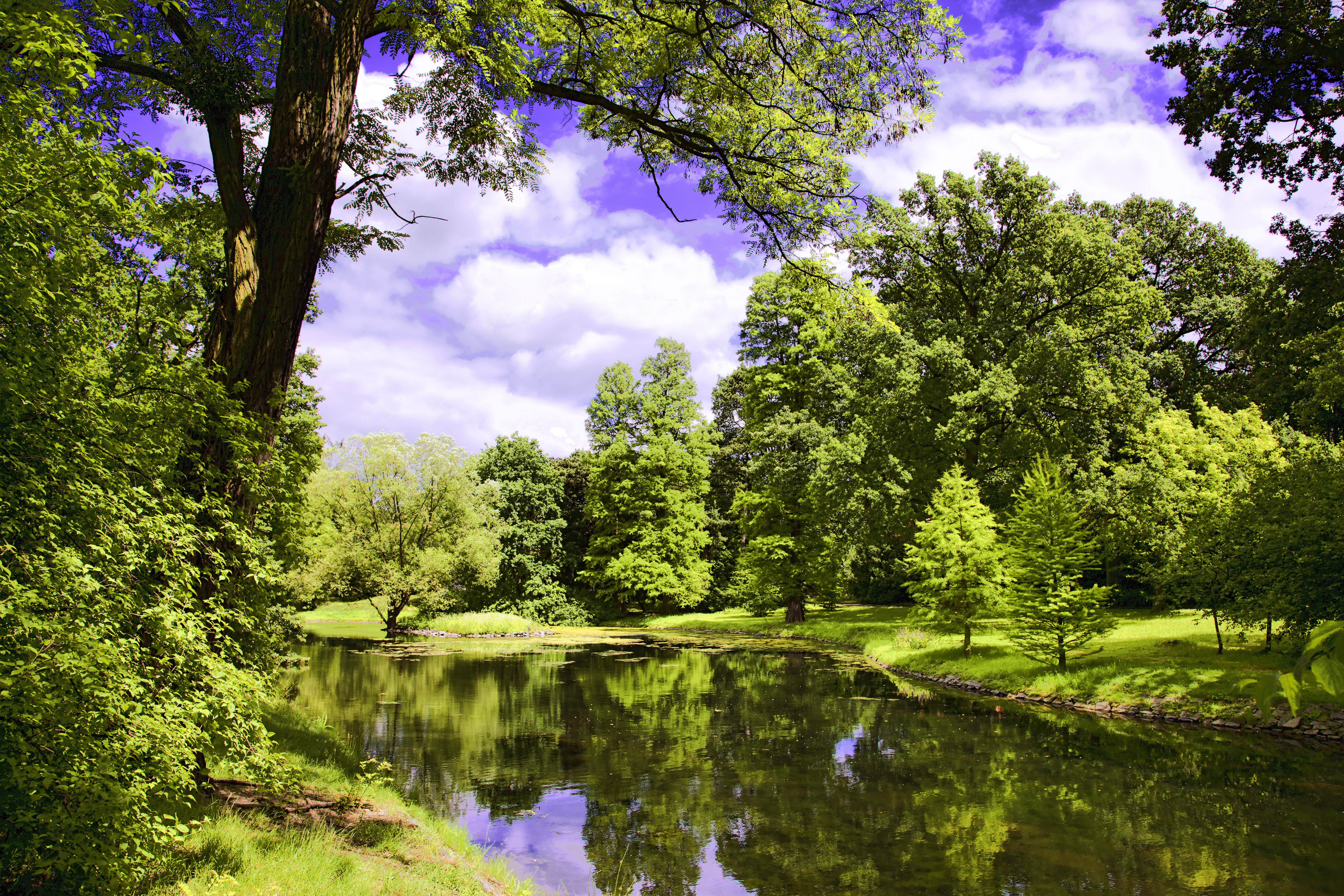 Фото бесплатно зеленые листья, река, природа летом