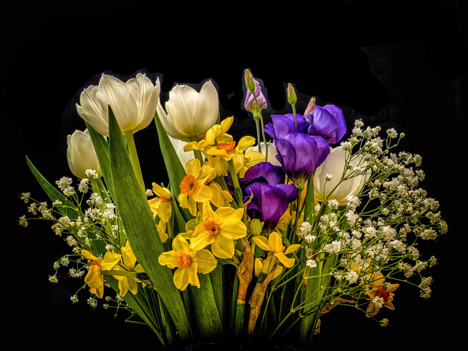 Обои цветы полевые цветы букет цветов на рабочий стол