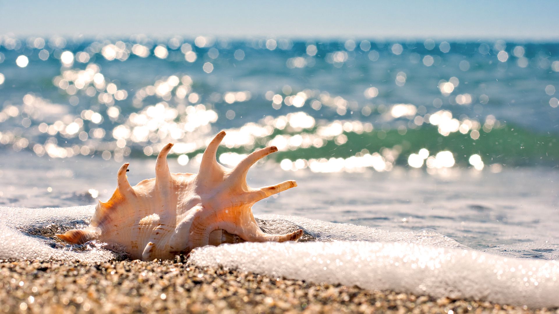 Фото бесплатно море, солнце, песок