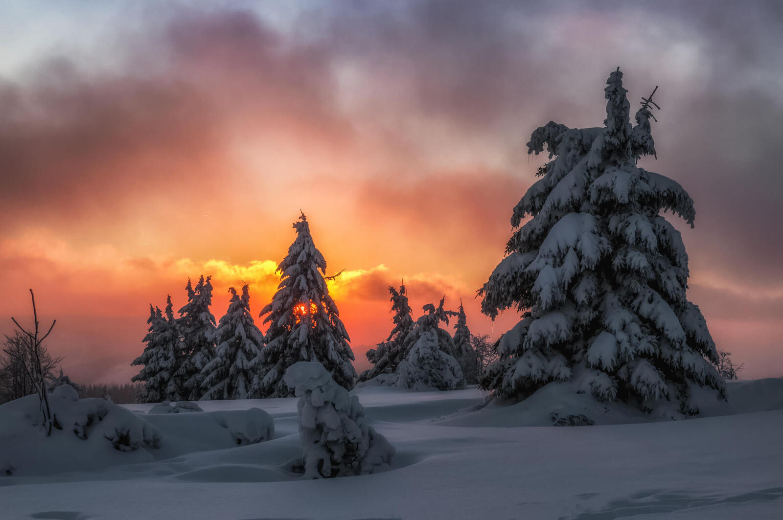 Free photo Photos of winter, sunset