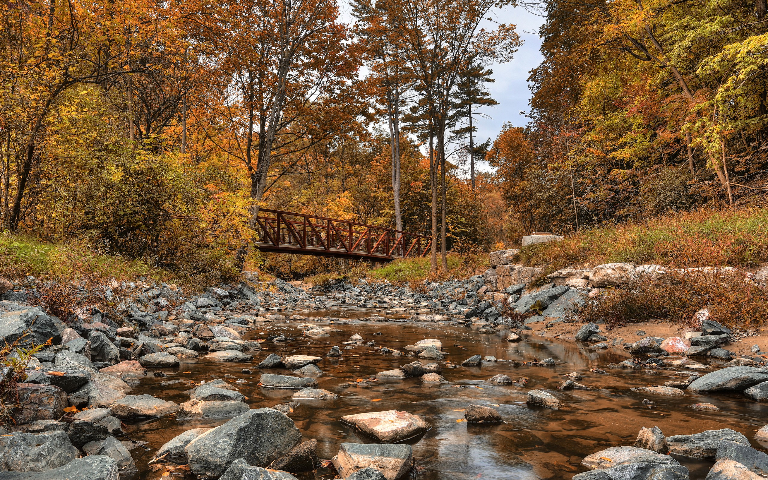 Фото бесплатно мост, камни, осенний лес
