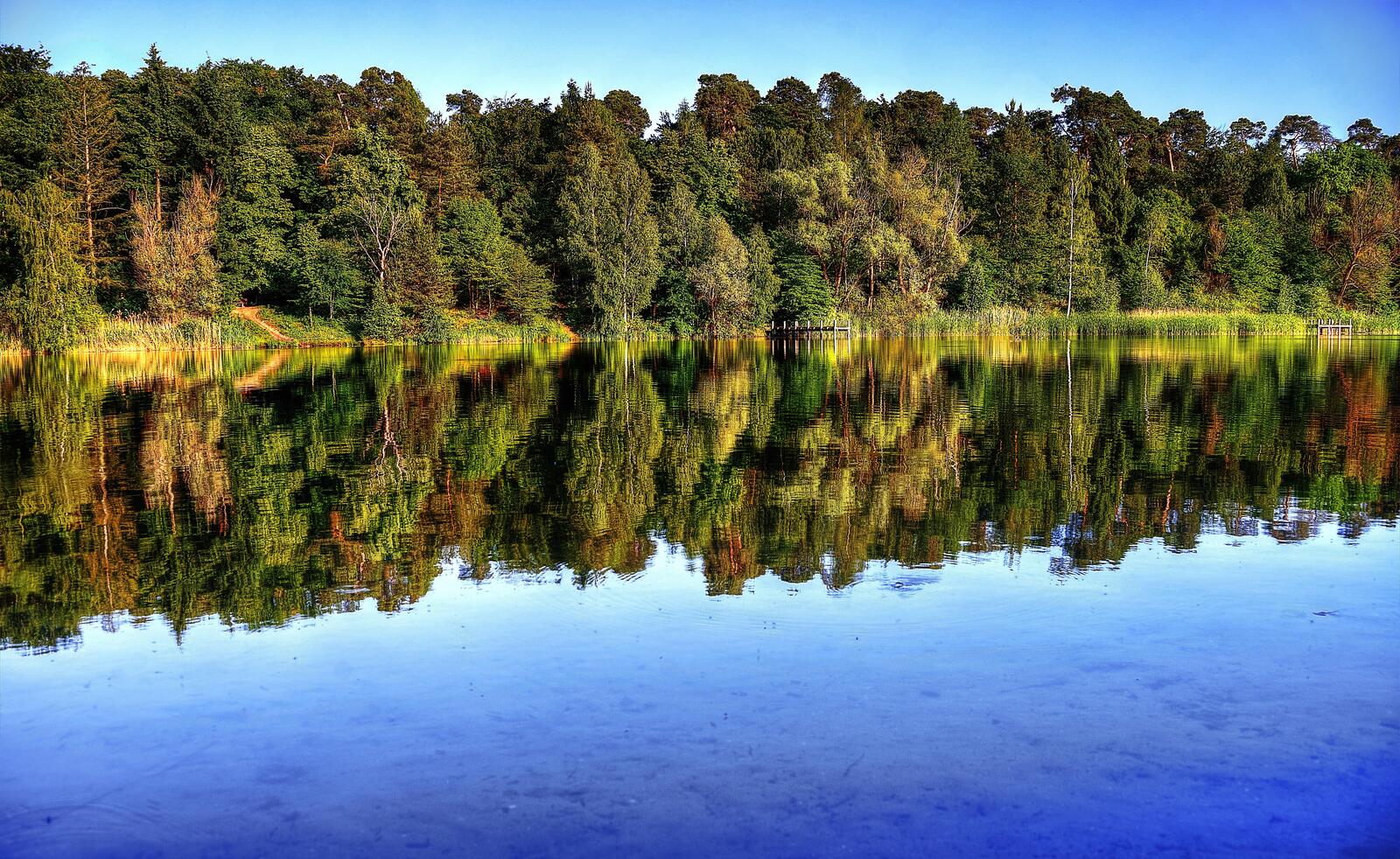 Wallpapers Waldsee a lake in Walldorf Germany on the desktop