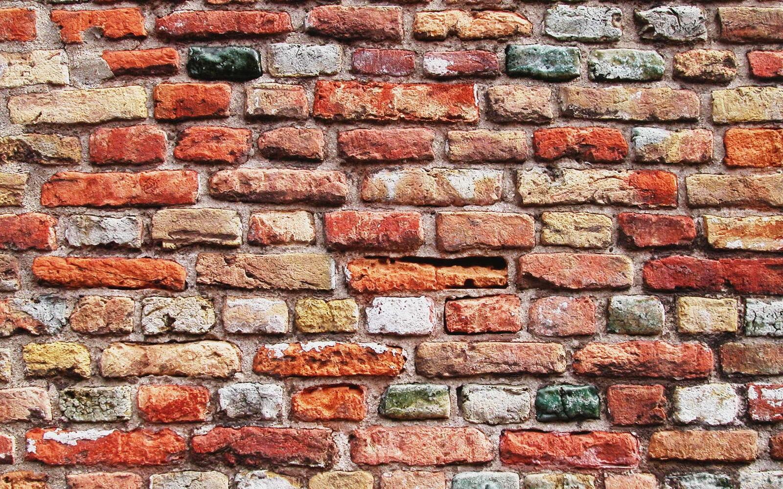 Wallpapers wall bricks colored on the desktop