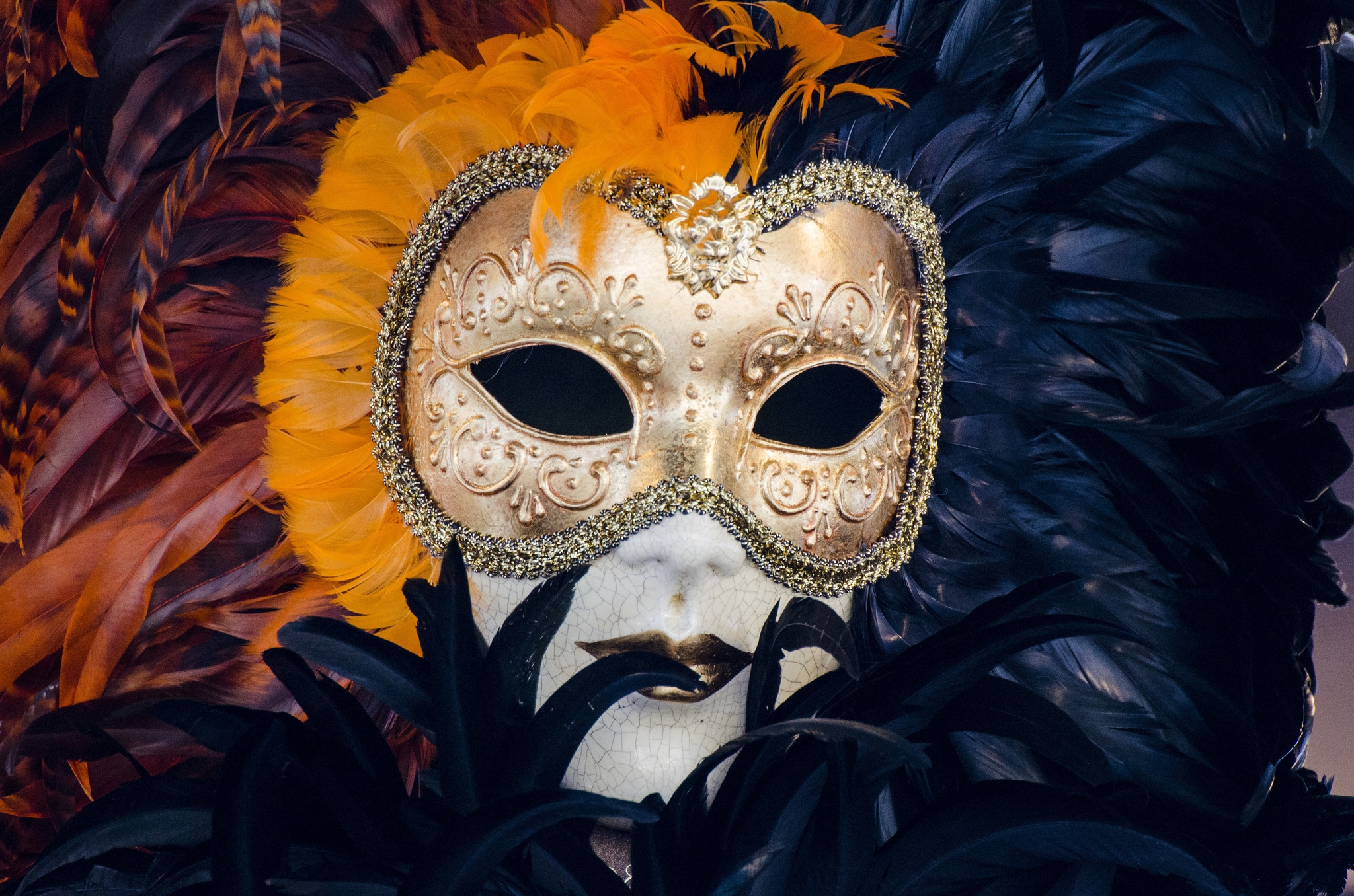 Фото бесплатно Венецианский карнавал, праздник, карнавал