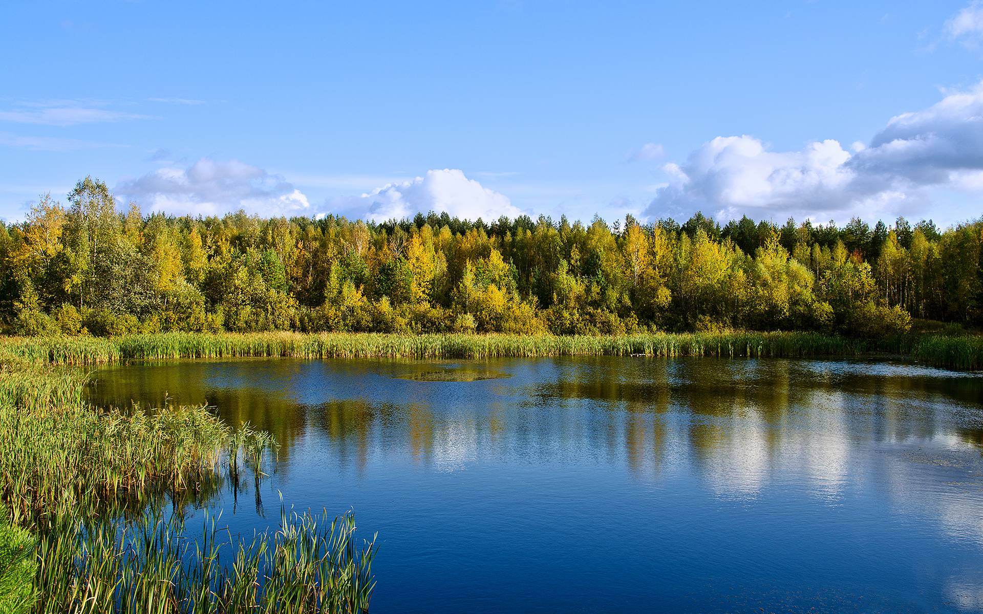 Wallpapers lake in the forest trees sun on the desktop