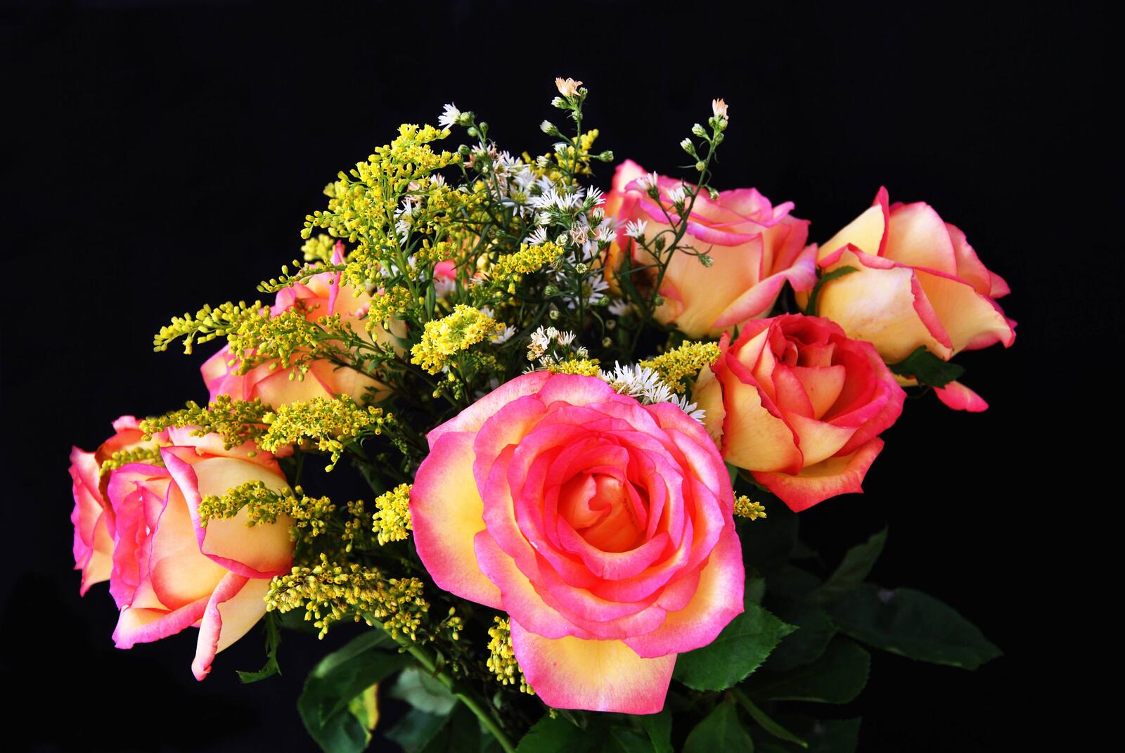 Wallpapers bouquet of pink roses rose flower on the desktop