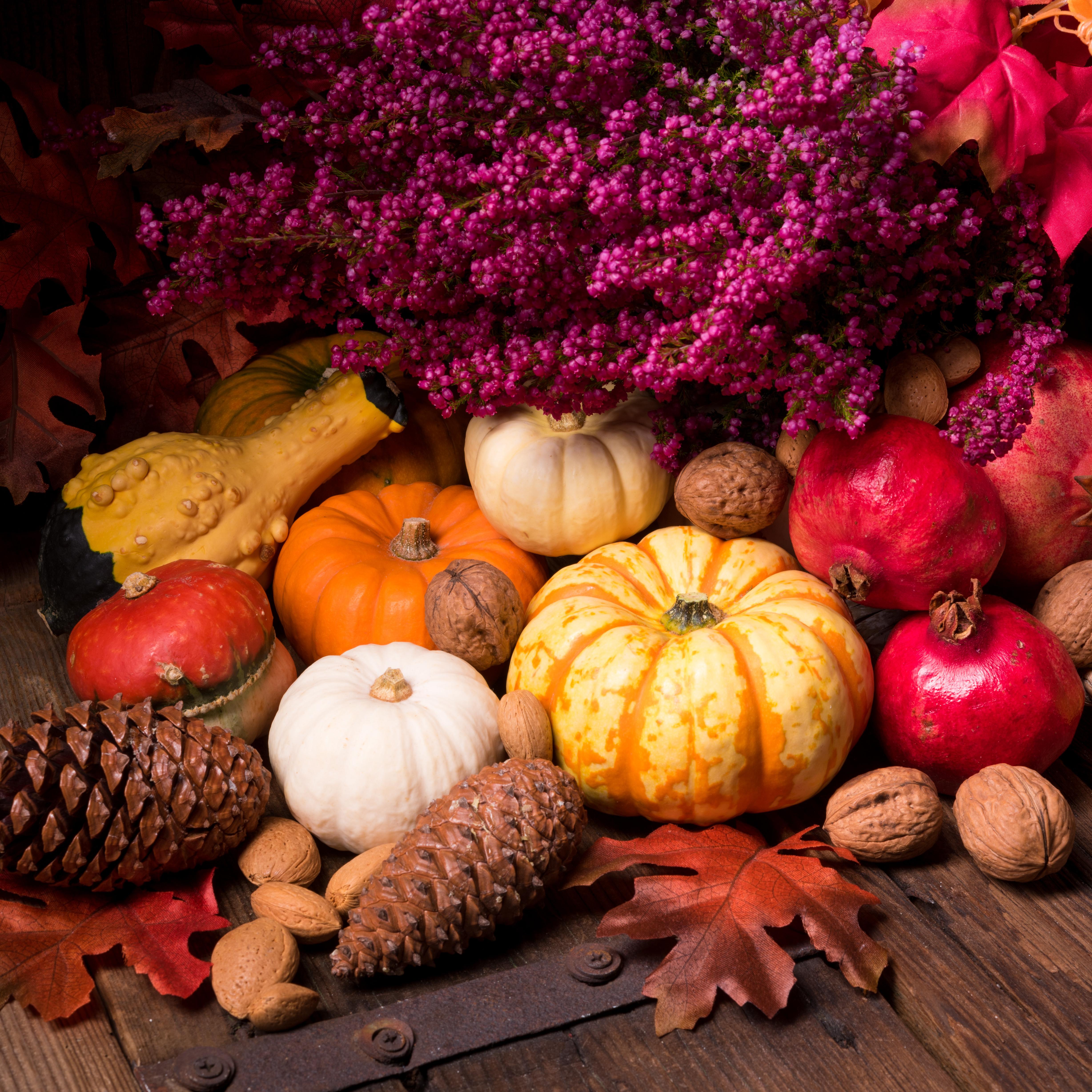 Wallpapers basket autumn composition of vegetables and fruits cones on the desktop