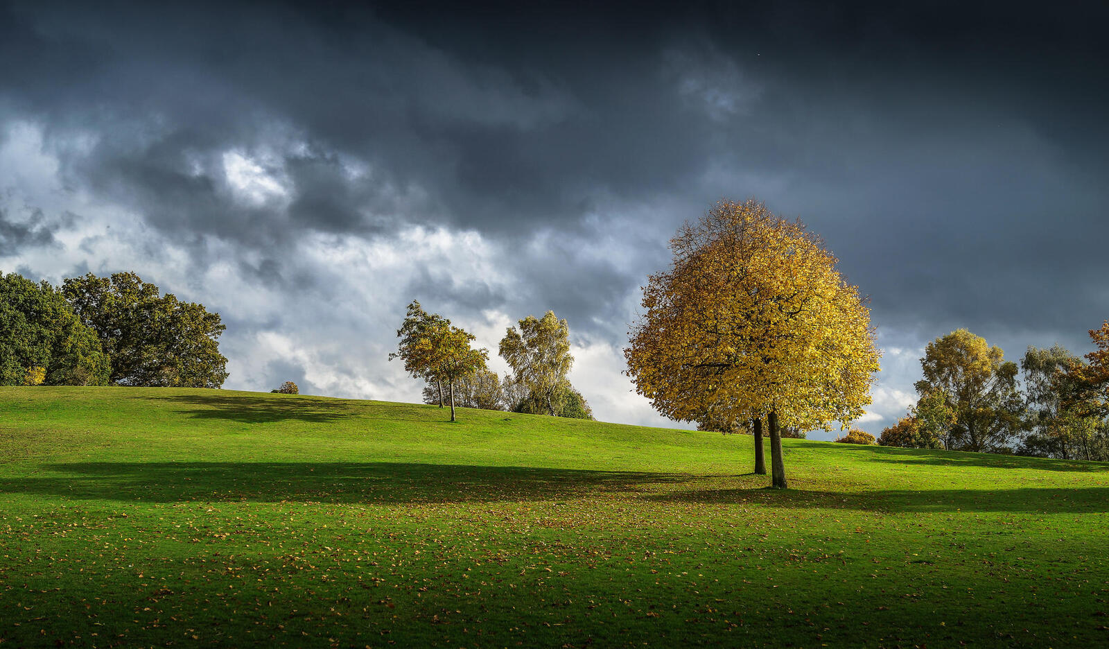 Free photo Download hills, trees with photo website fonwall