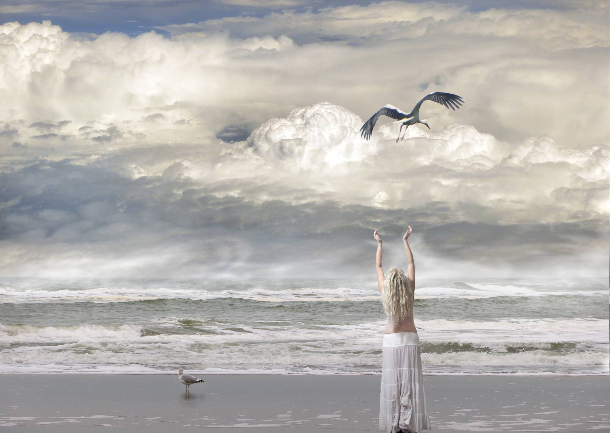 Песня птицы в небесах летают. Море птицы девушка. Море и небо девушка. Девушка море птицы ветер.