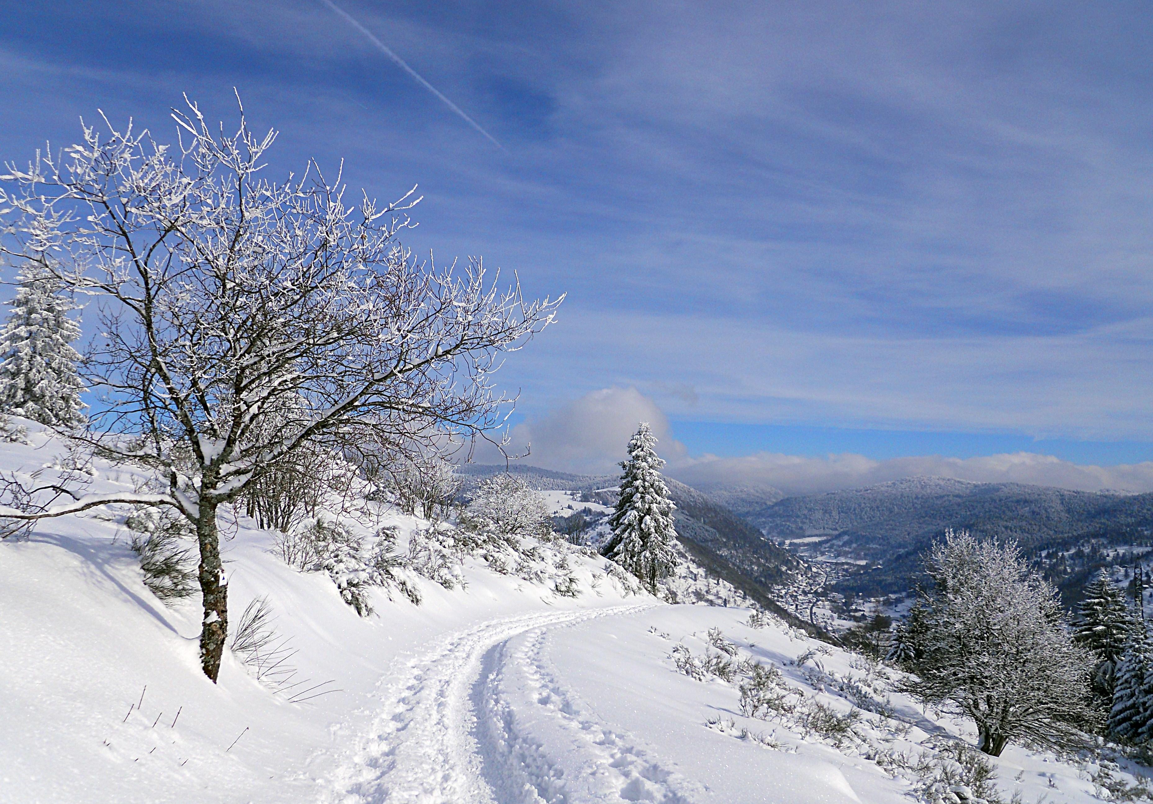 Фото бесплатно Франция, Ла-Бресс, зима