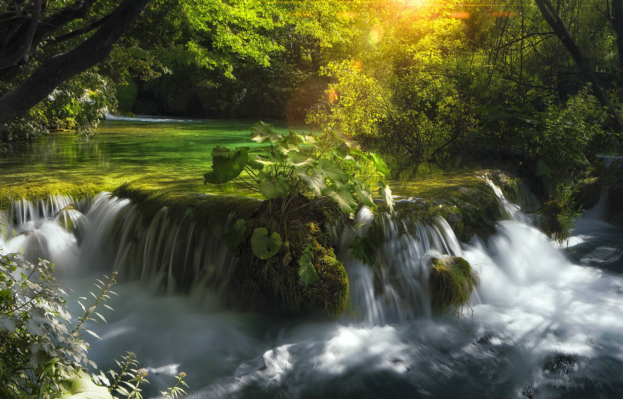 Wallpapers Plitvice lakes national park sun light greens on the desktop