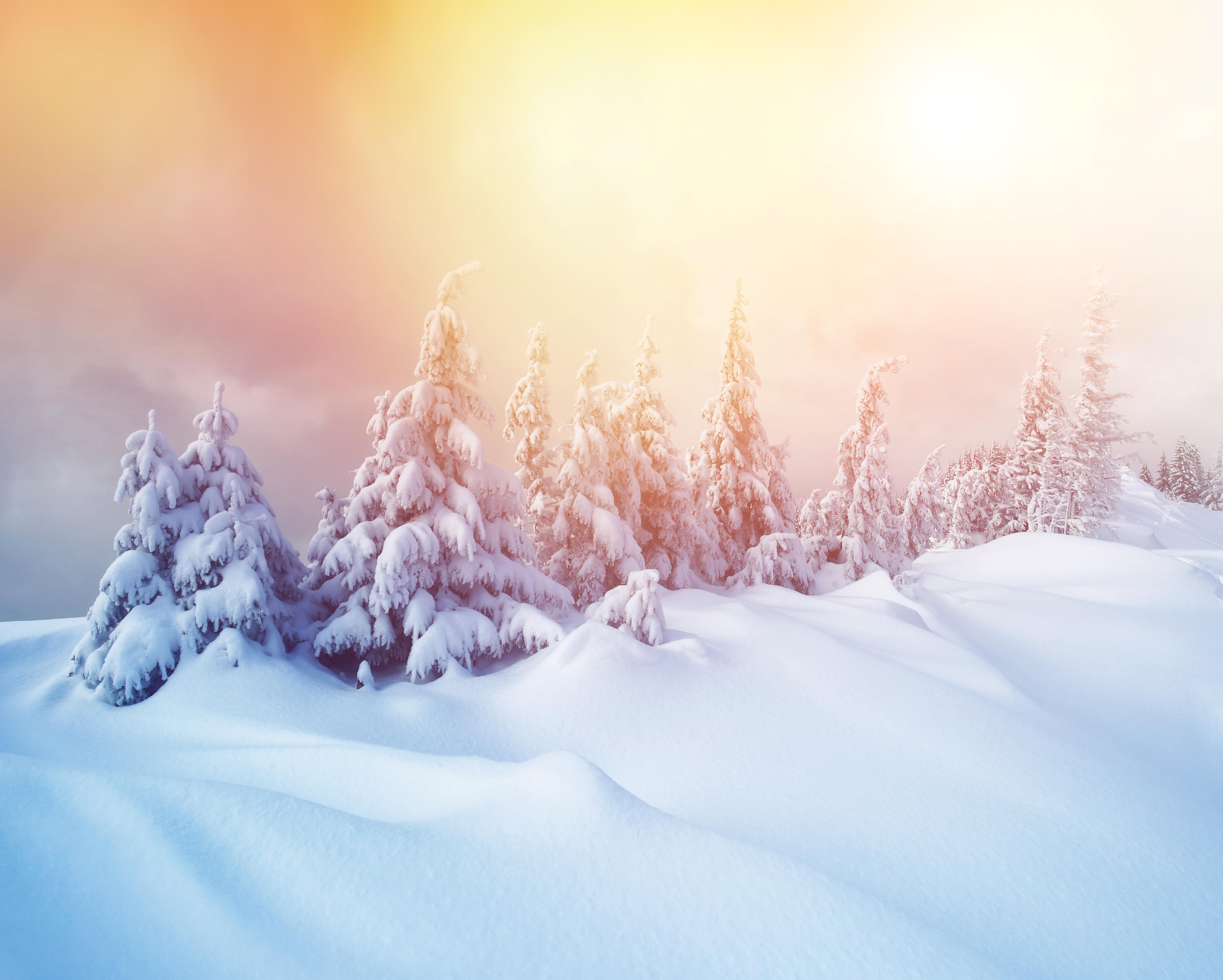 Фото бесплатно много снега, деревья в снегу, сугробы
