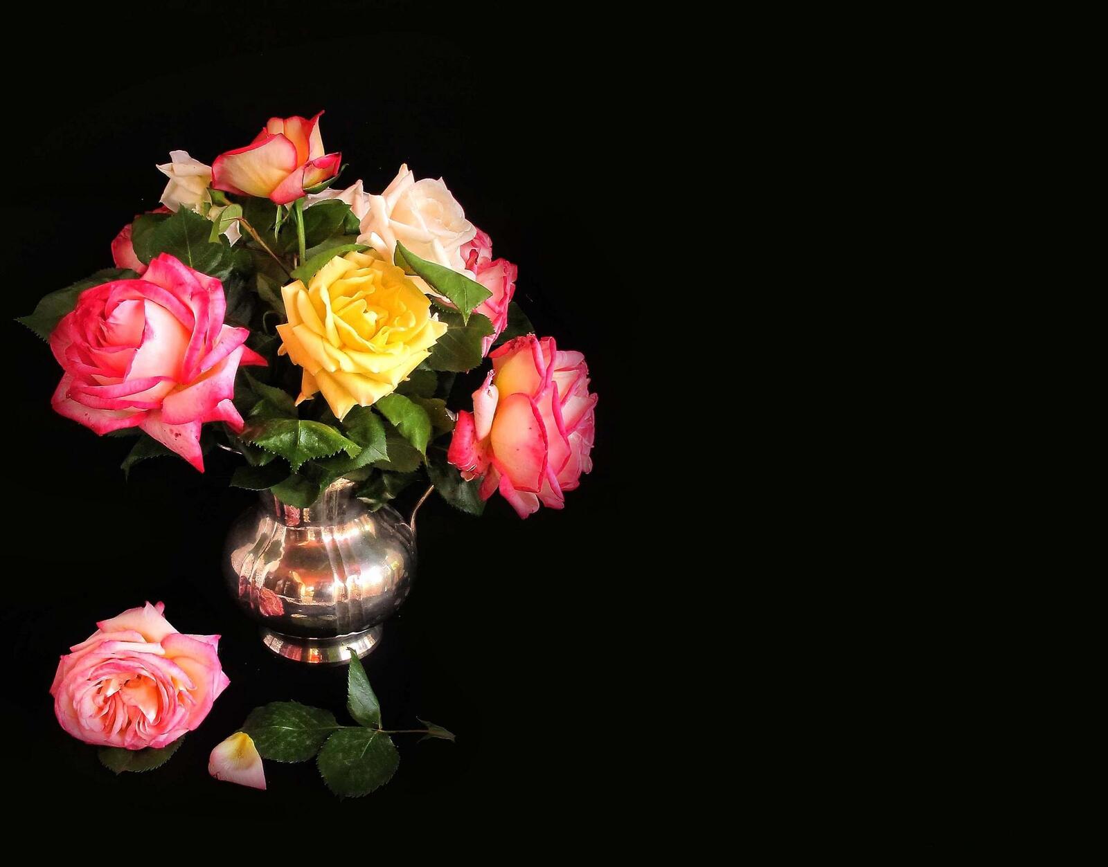 桌面上的壁纸玫瑰花束 粉红玫瑰 玫瑰
