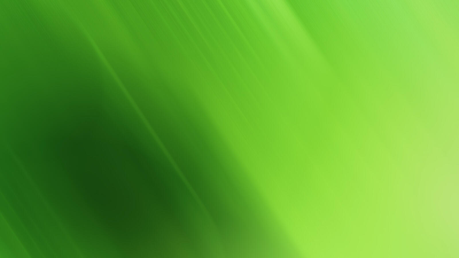 Wallpapers screensaver green shades on the desktop