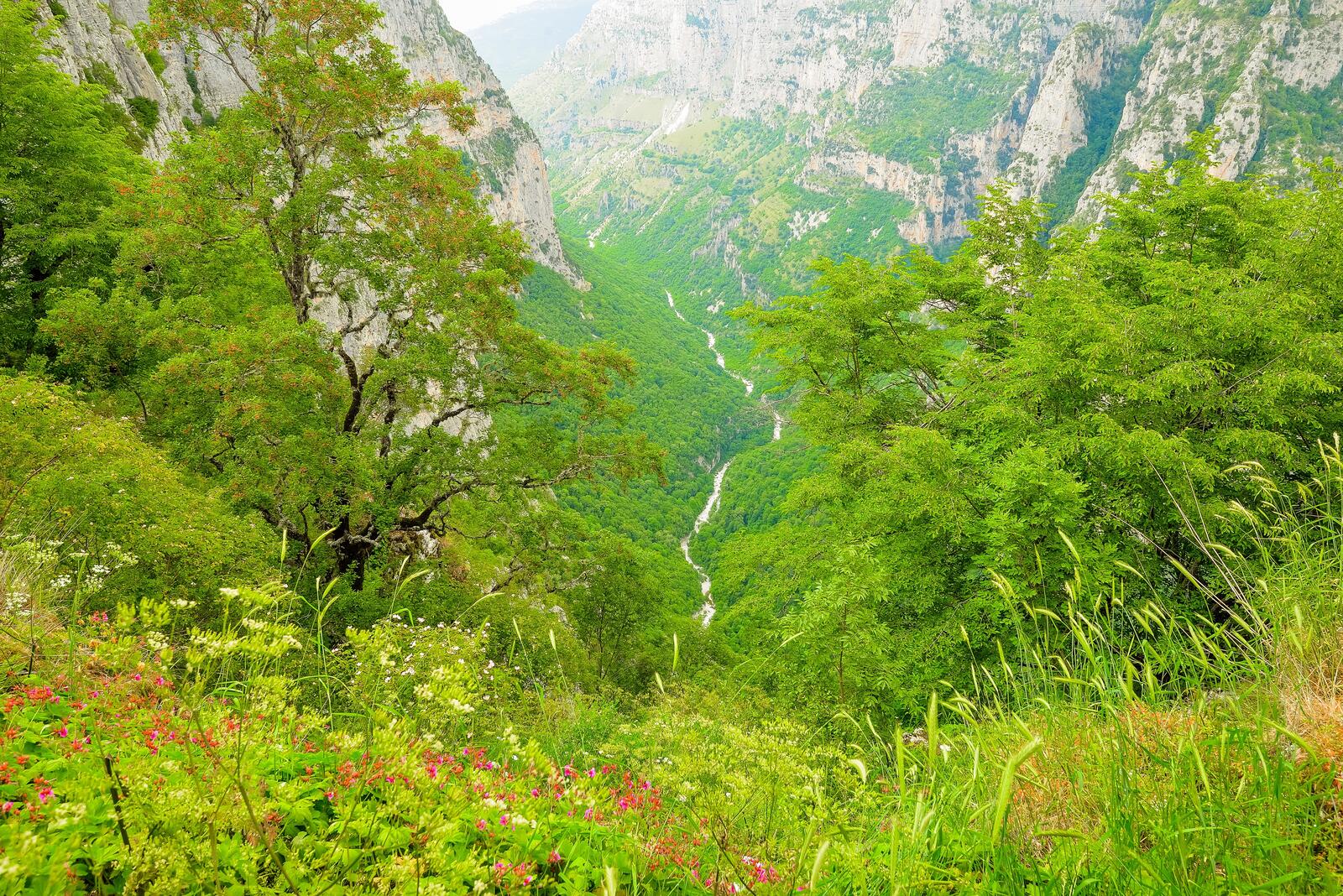 Обои река Войдоматис северо-запад Греции горы деревья на рабочий стол