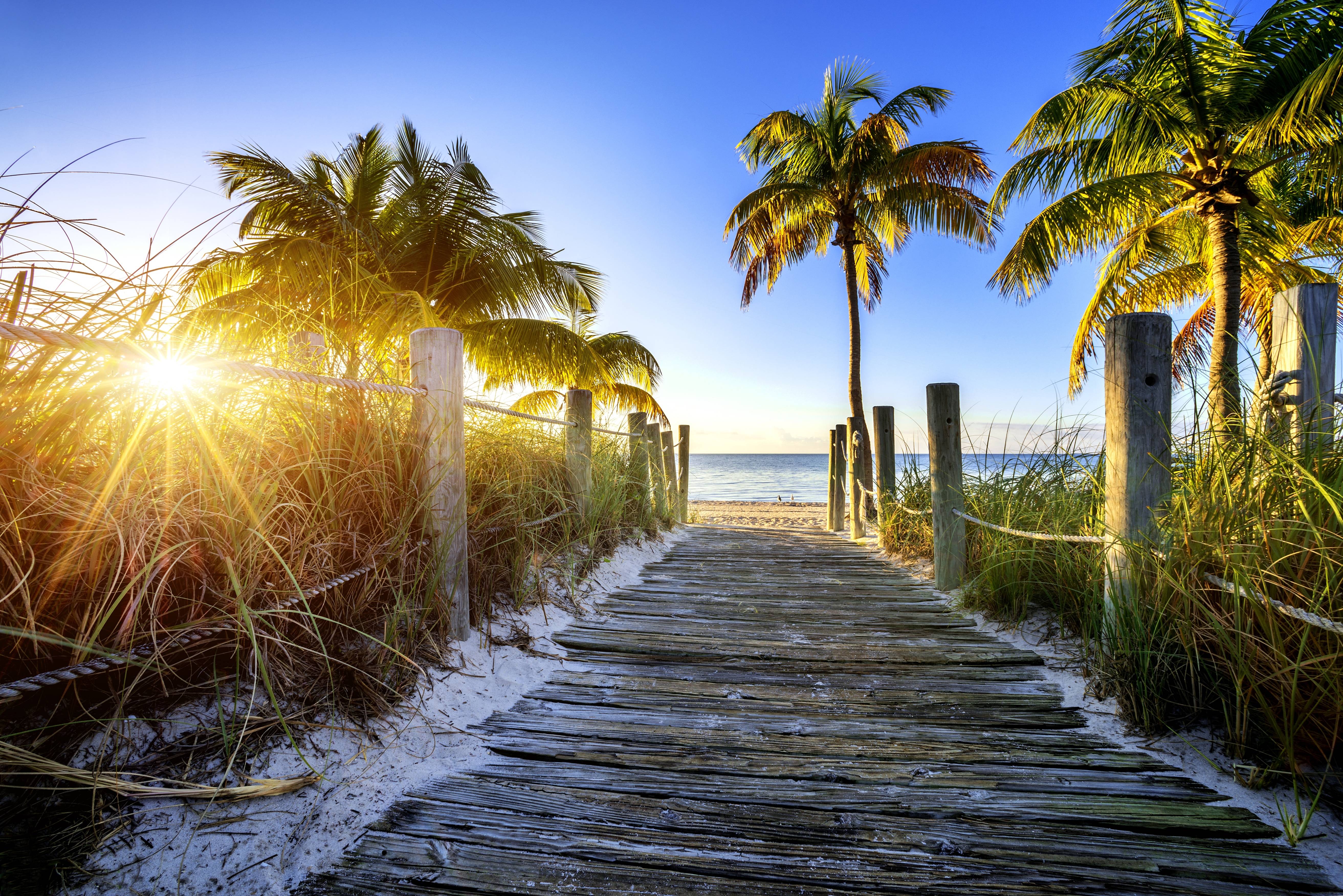 Фото бесплатно мостик, пляж, пальмы