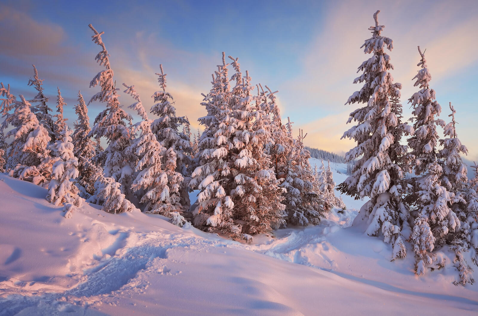 免费照片在手机上雪，冬季优质壁纸