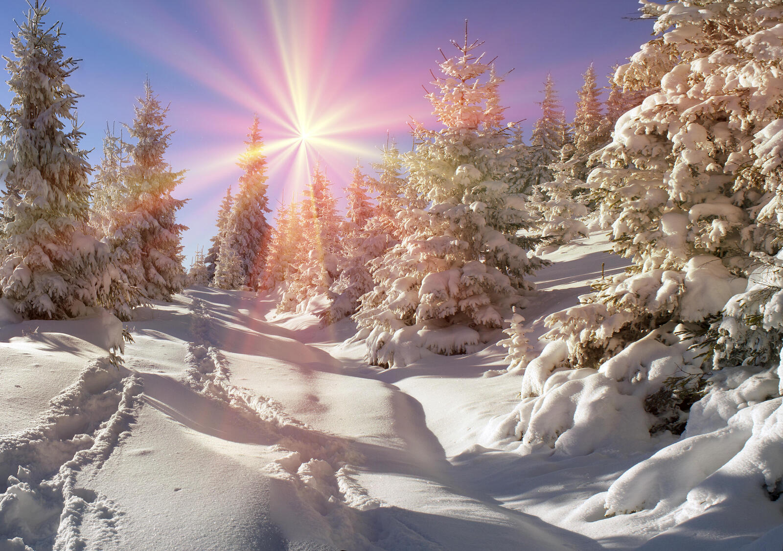 Wallpapers sun rays landscapes snow on the desktop