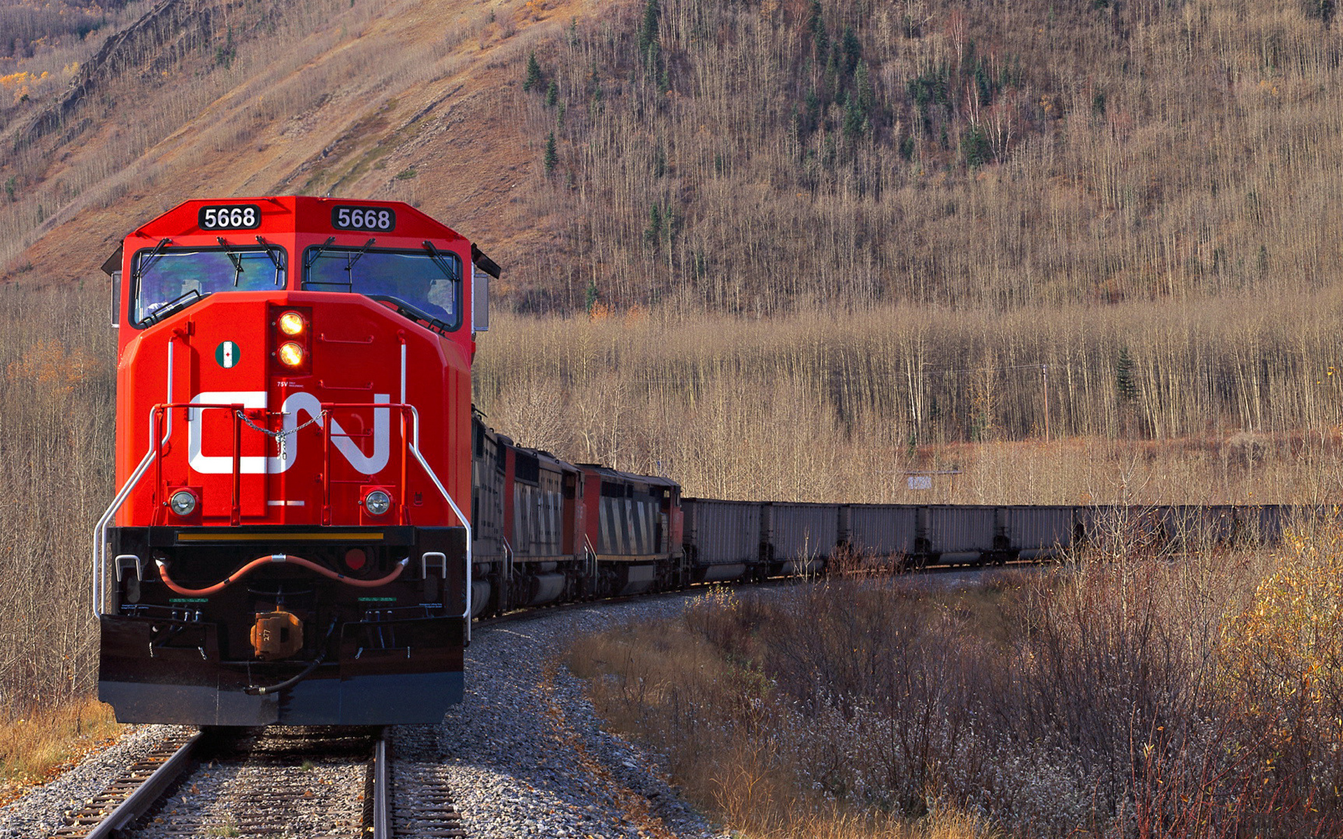 Photo free freight train, locomotive, wagons