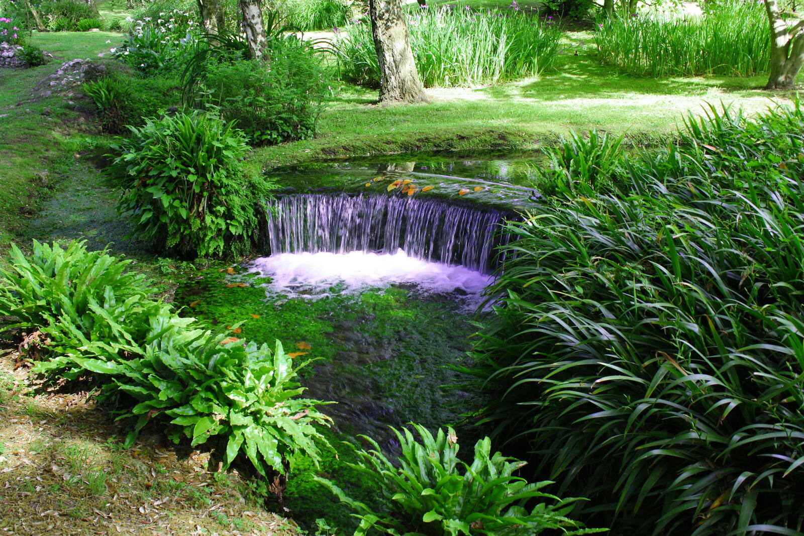 Wallpapers the waterfall The Ninfa Garden in the province of Latina on the desktop