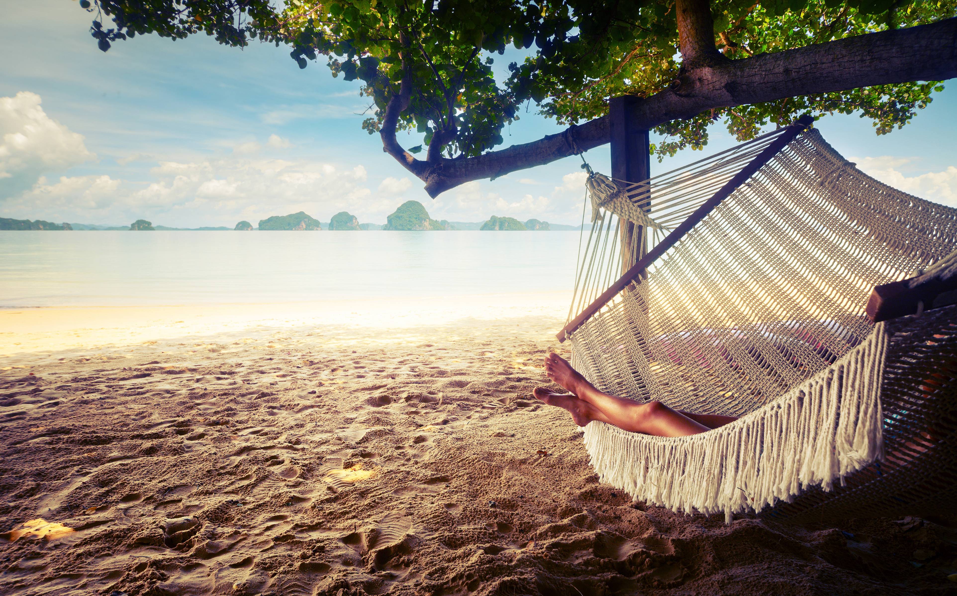 Wallpapers vacation on the beach hammock tree on the desktop