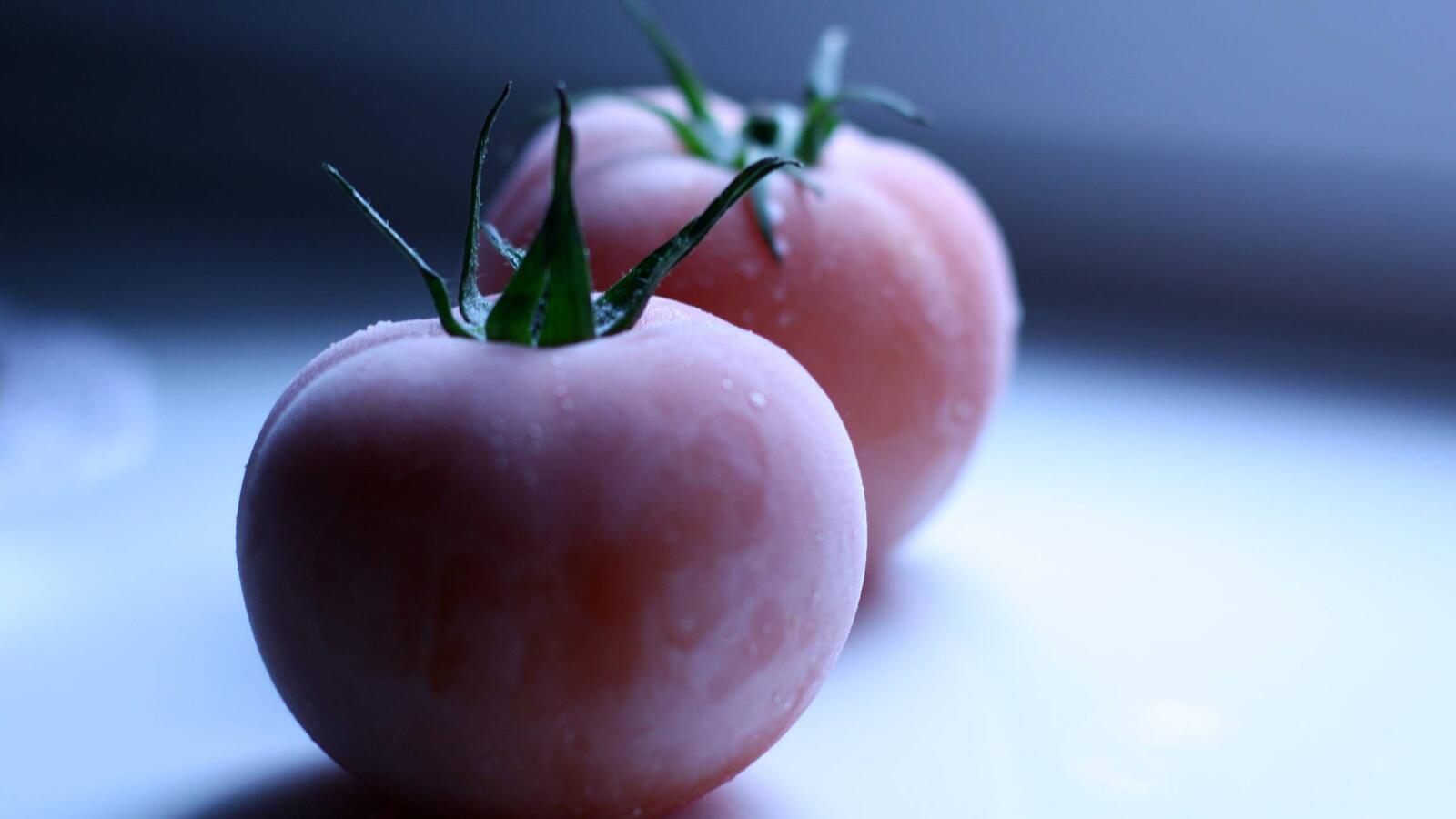 Обои овощи томаты помидоры на рабочий стол