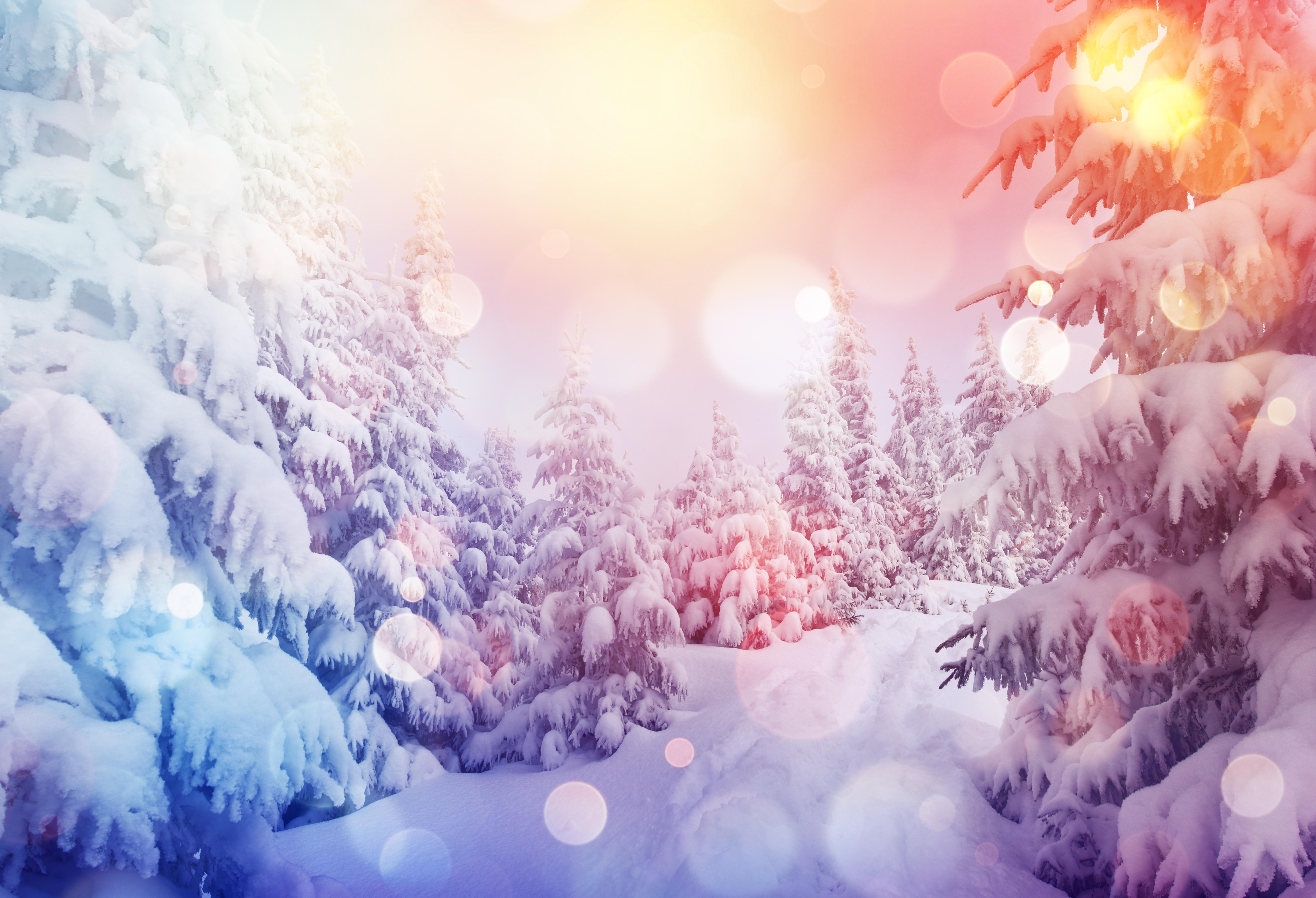 Фото бесплатно пейзаж, снег, снег на ветках