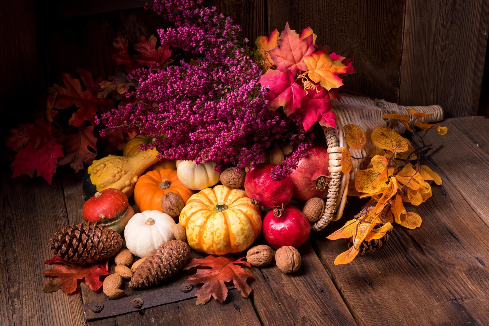 Wallpapers nuts autumn composition of vegetables and fruits cones on the desktop