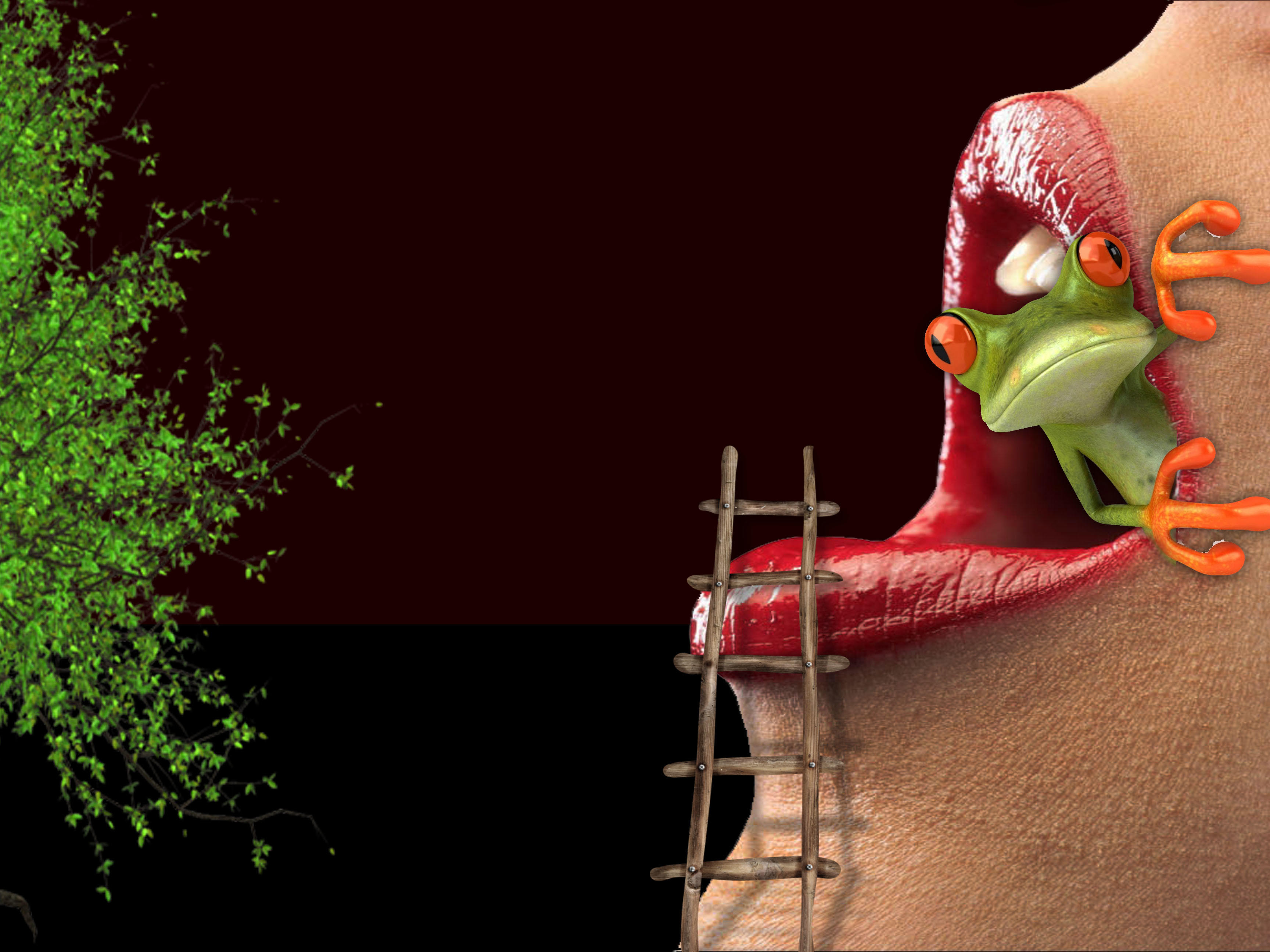 Wallpapers mouth stairs frog on the desktop