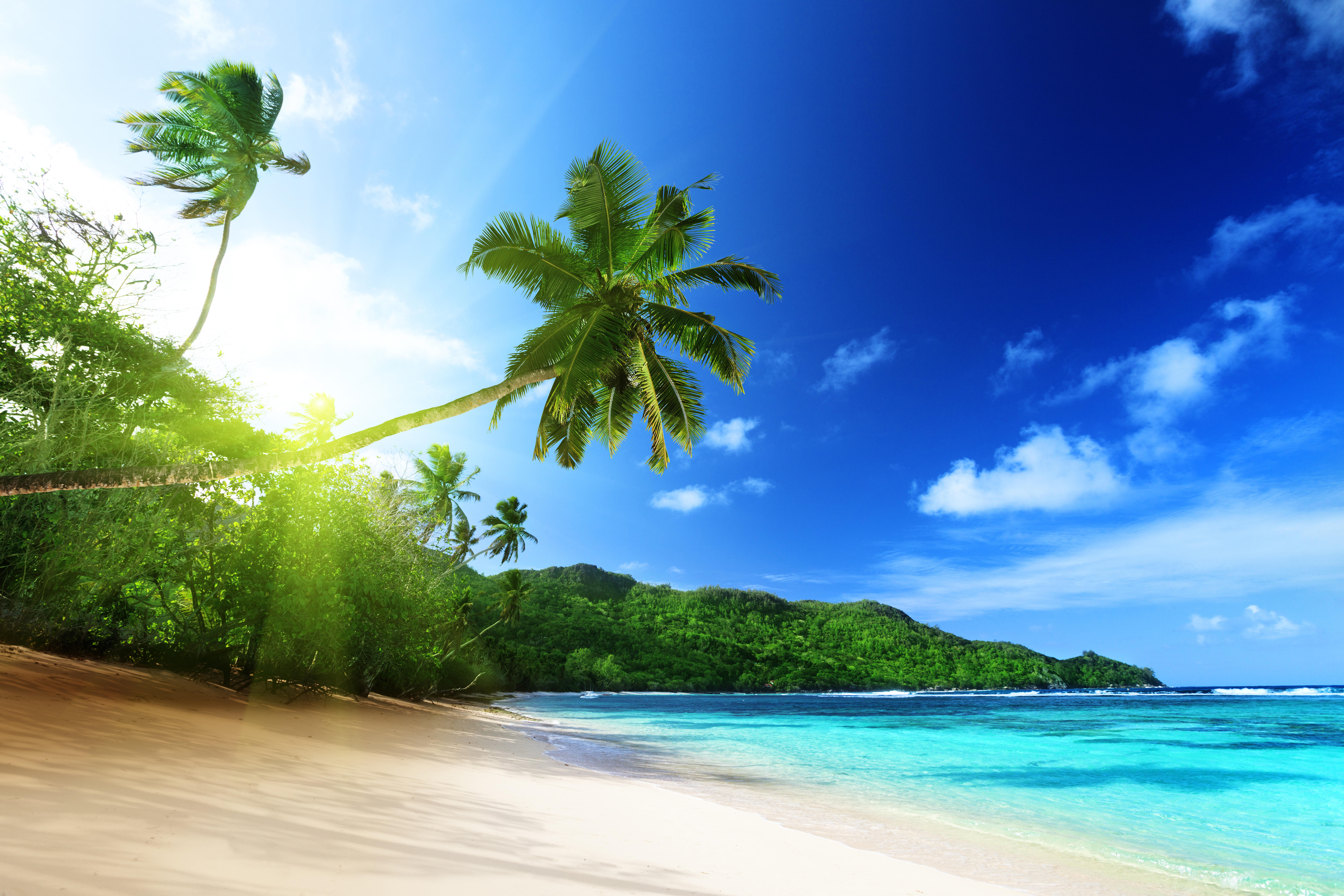 Обои пляж солнце пальмы на рабочий стол