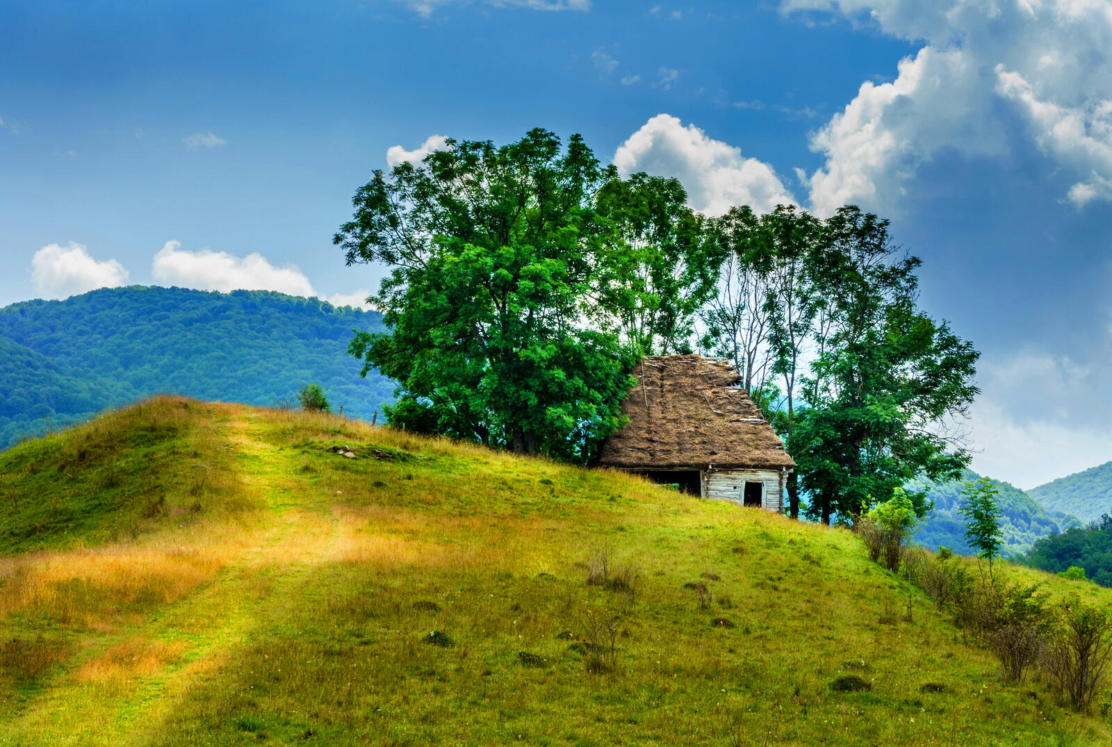 Wallpapers trees Romania small house on the desktop