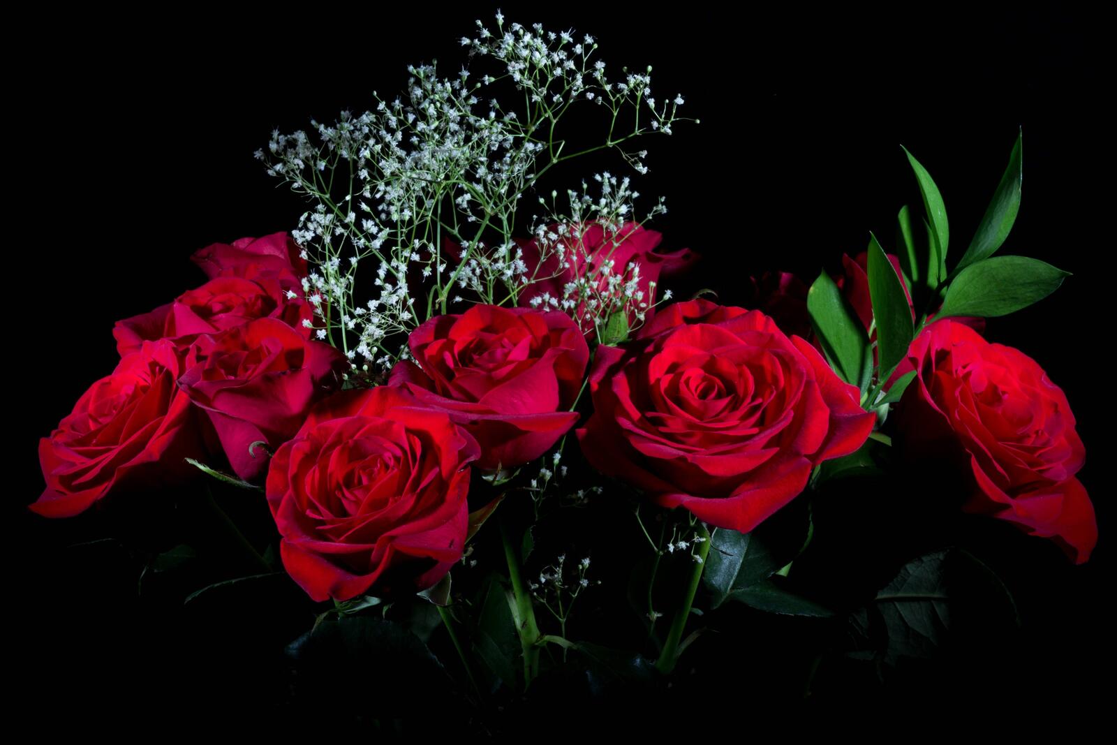 桌面上的壁纸红玫瑰 花束 玫瑰