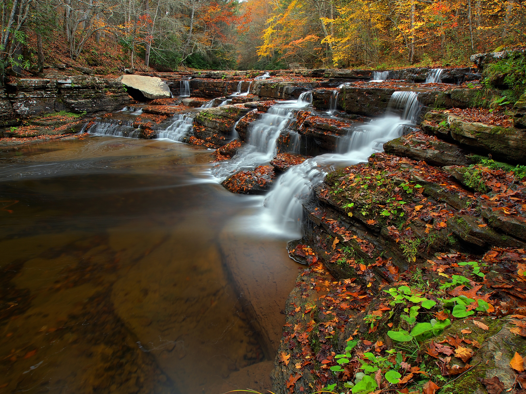 Обои Camp Creek State Park West Virginia осень на рабочий стол