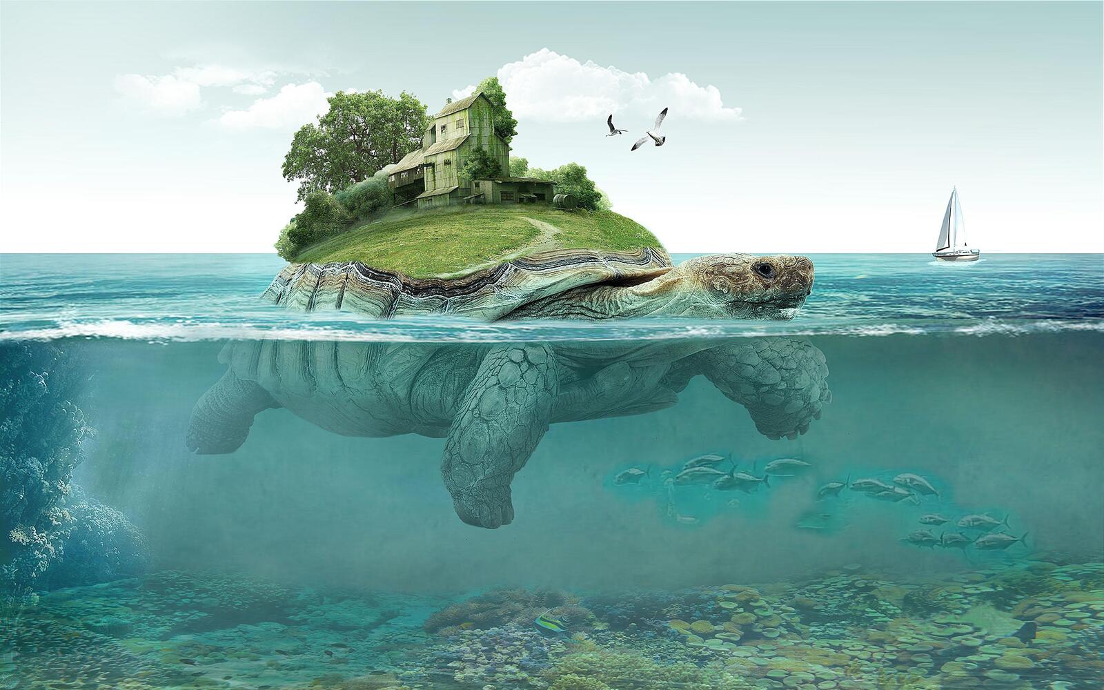Wallpapers turtle island art on the desktop