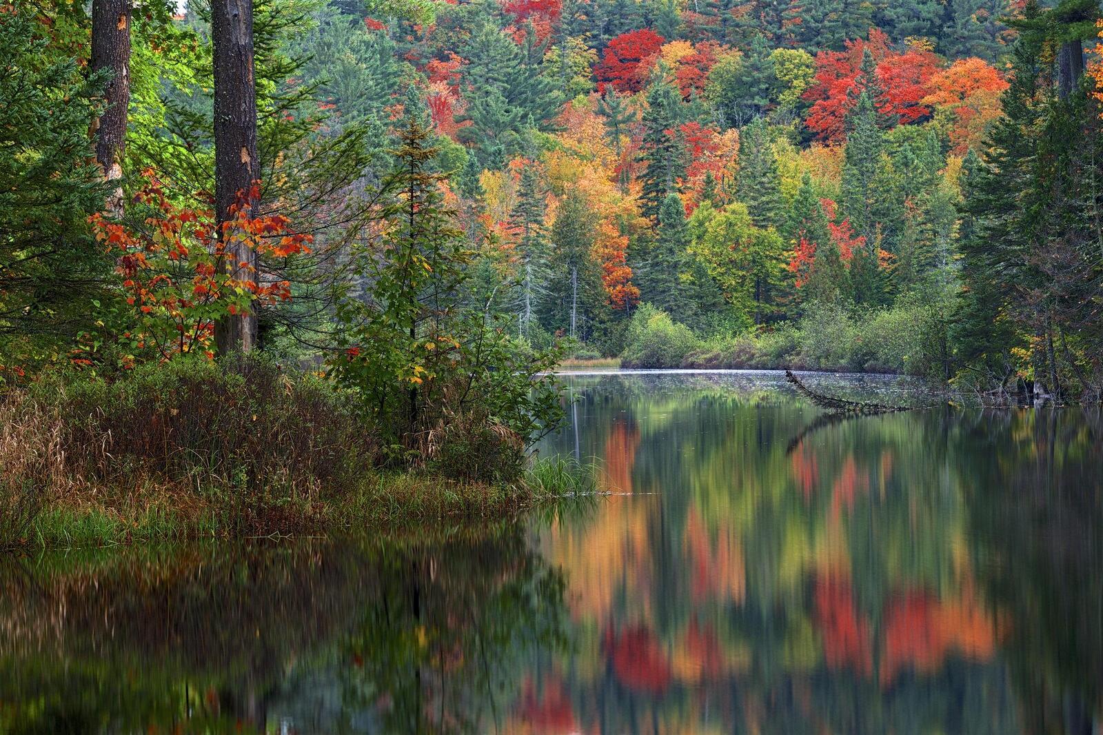 Wallpapers lake autumn forest trees on the desktop