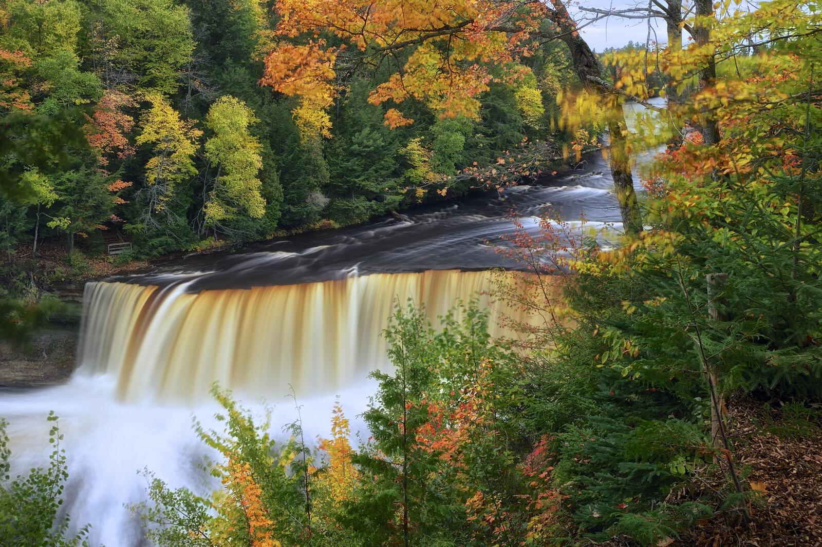 Wallpapers nature forest upper tahquamenon falls on the desktop
