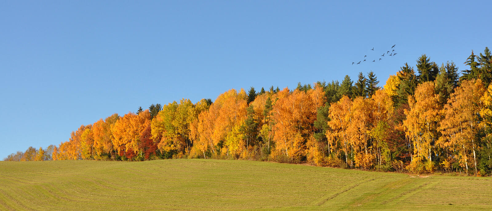 Wallpapers autumn panorama field on the desktop