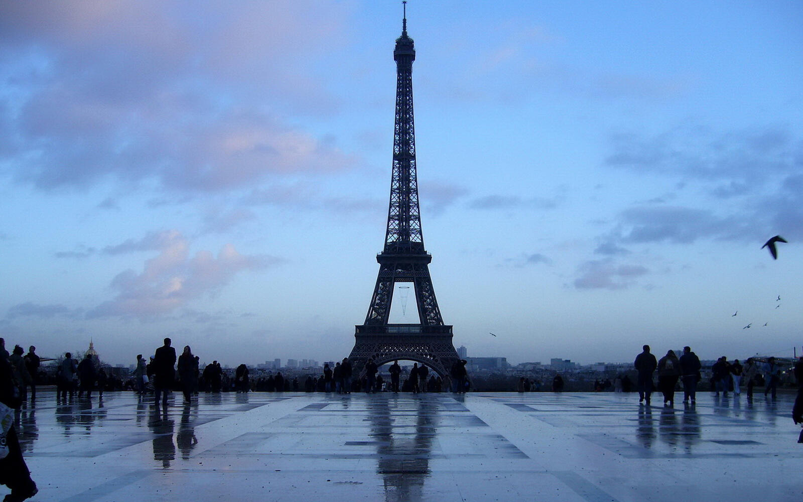 桌面上的壁纸巴黎 埃菲尔铁塔 方形