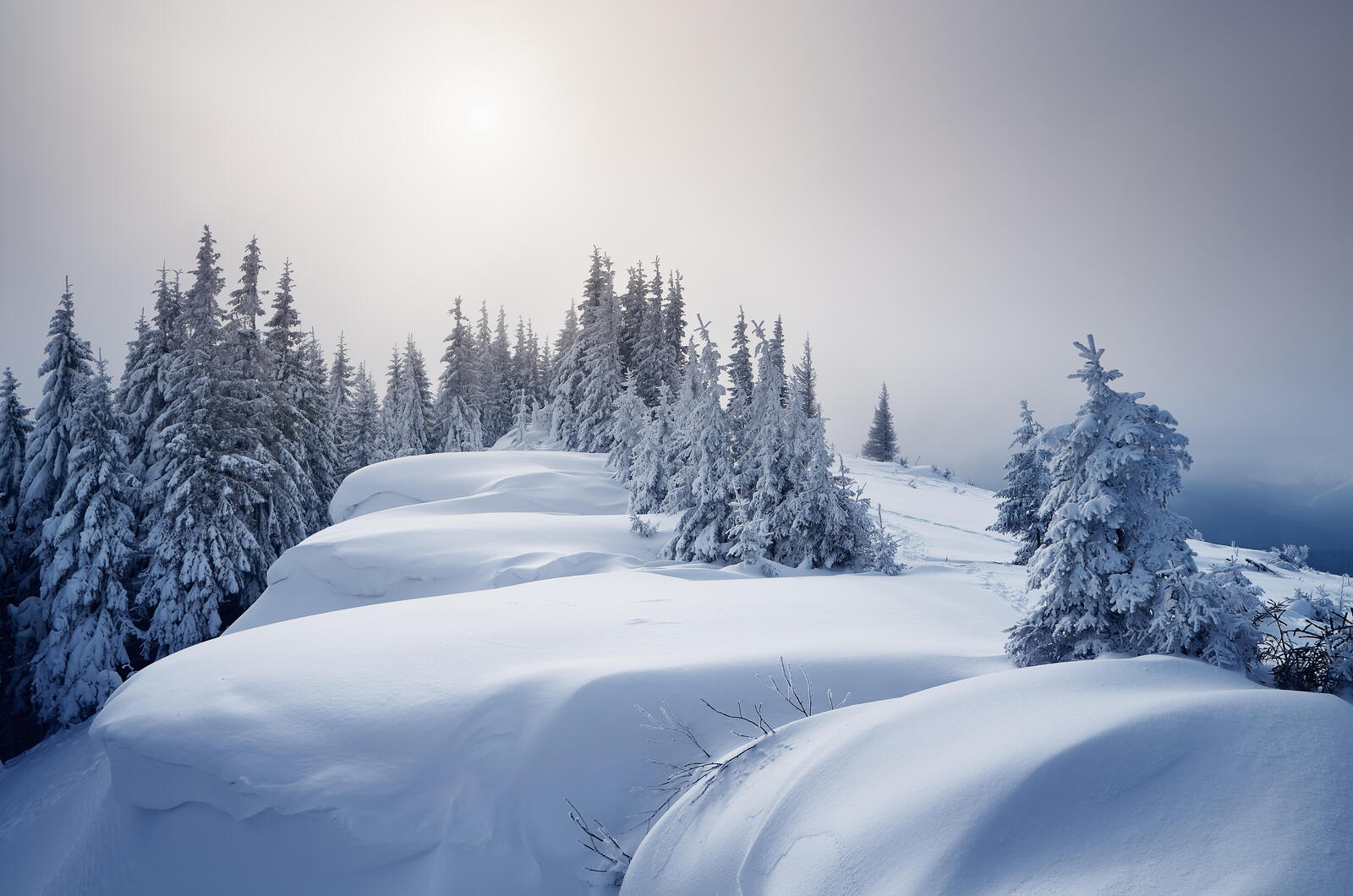 Wallpapers landscape winter forest landscapes on the desktop