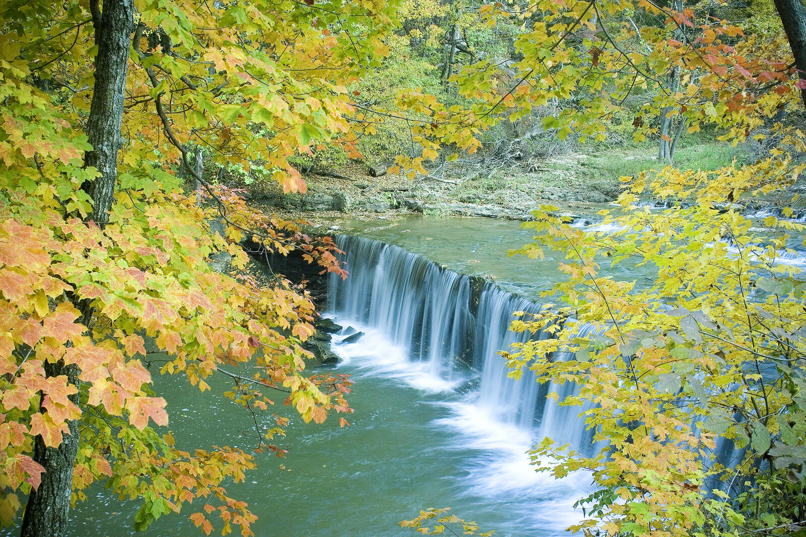 Wallpapers river waterfall yellow leaves on the desktop