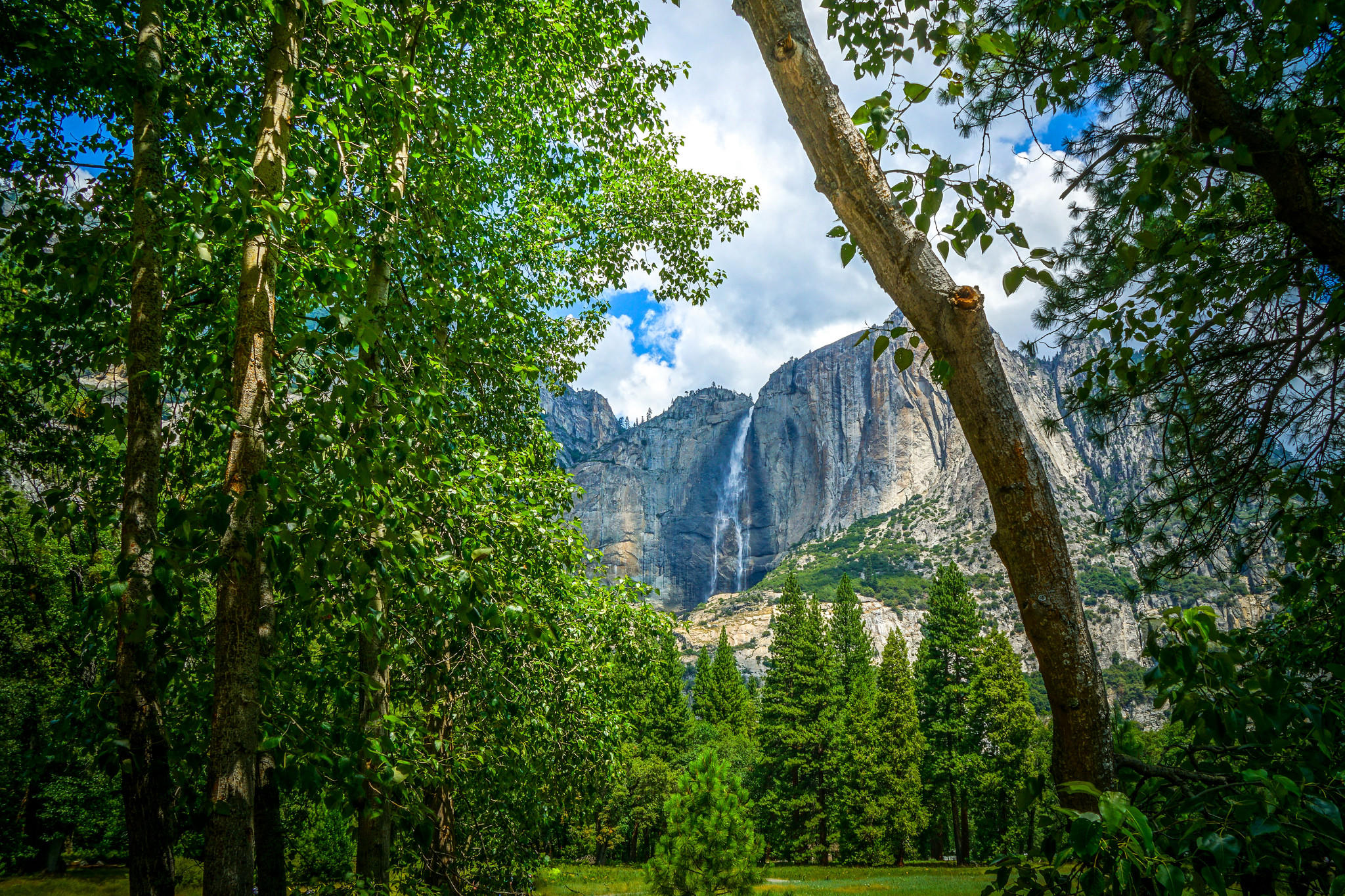 Wallpapers trees mountains USA on the desktop