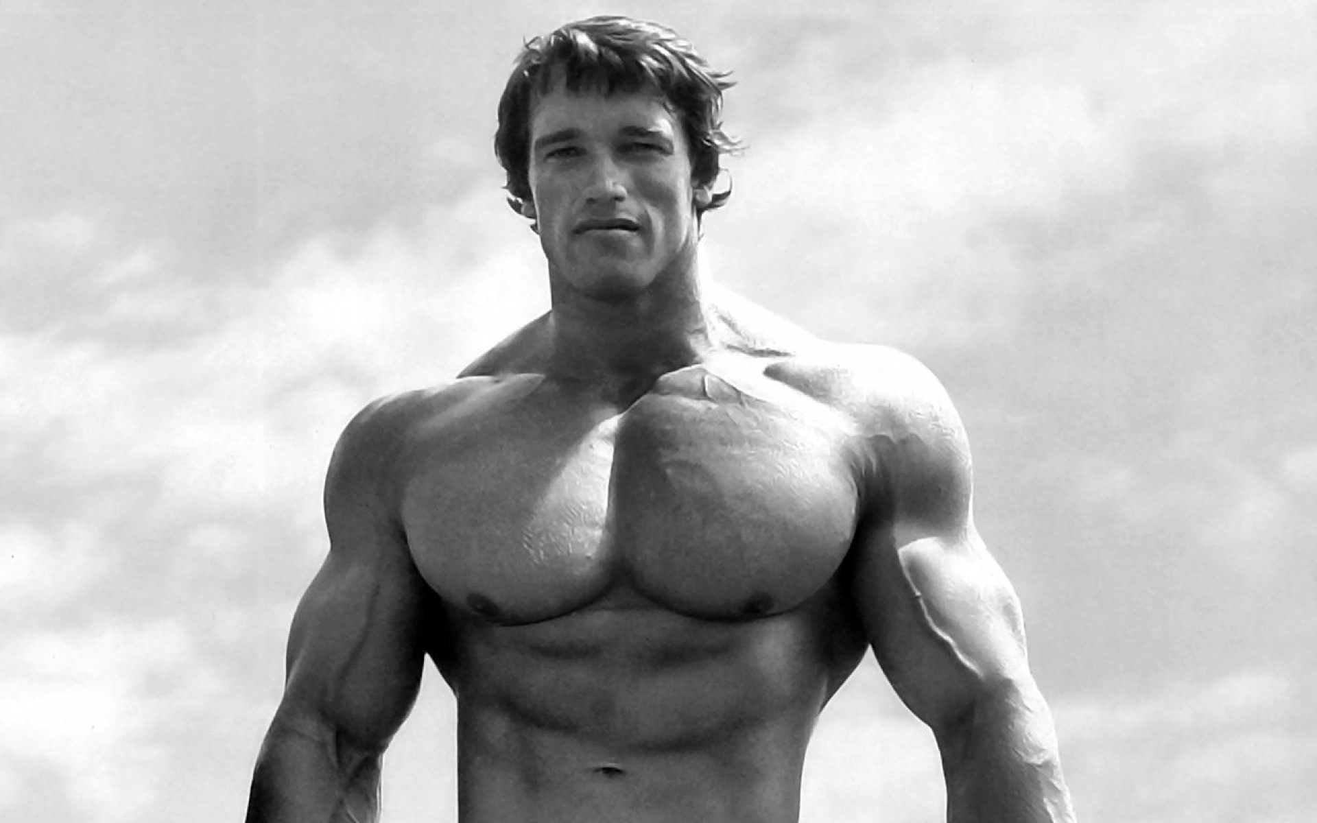 Arnold Schwarzenegger загрузить