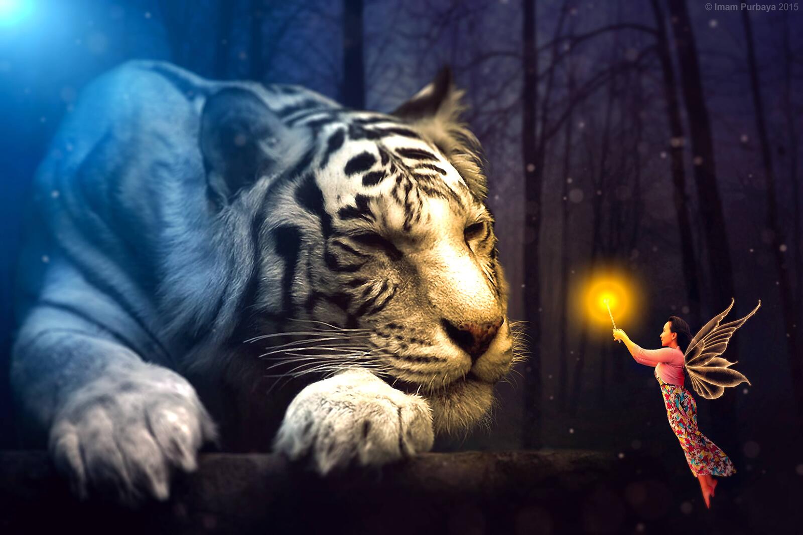 Wallpapers tiger girl fairy on the desktop